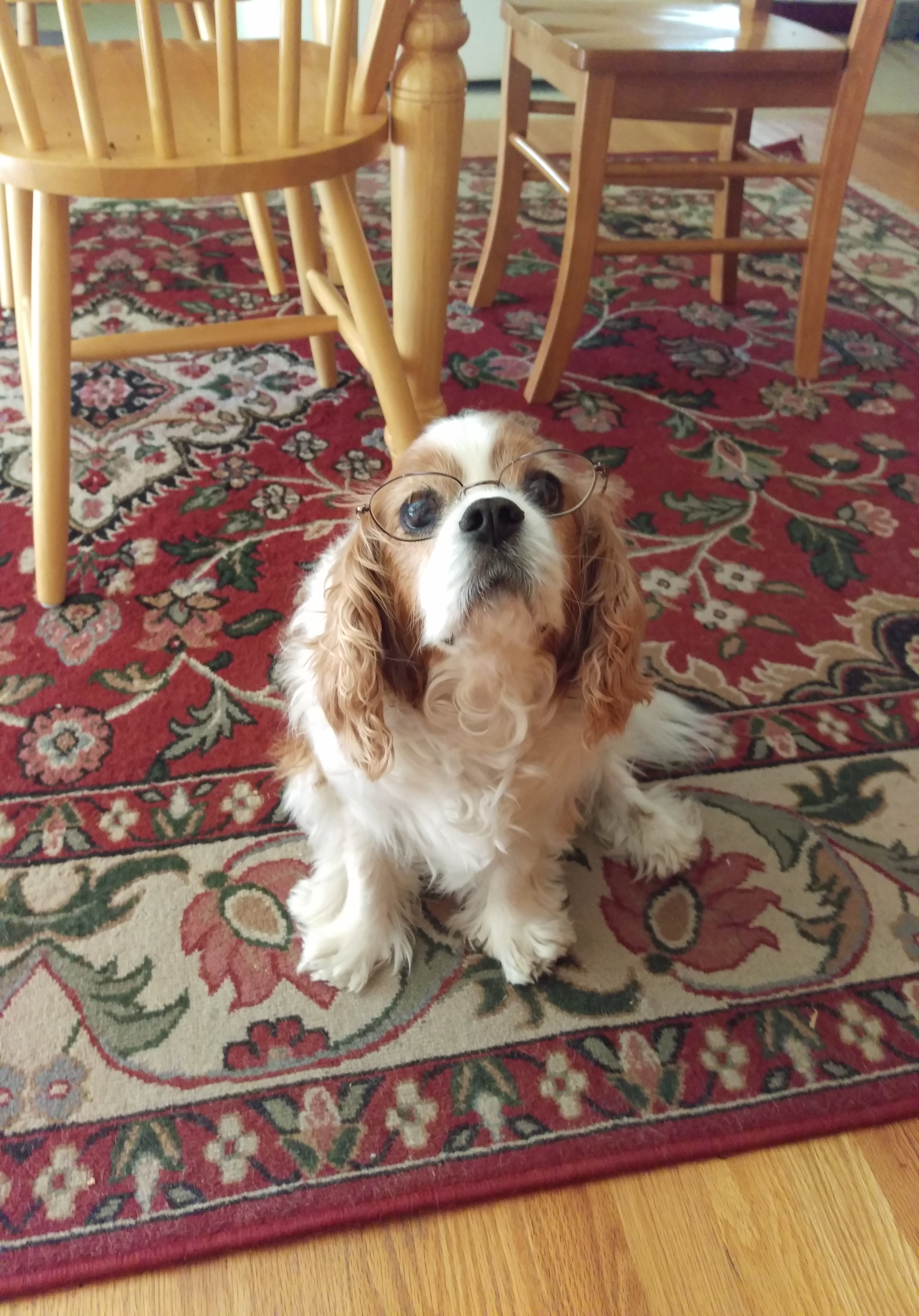 Here's a picture of mine, because why not.