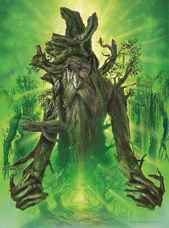 treebeard-clever-silent-wood