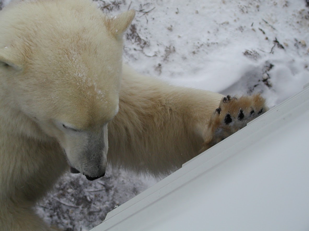 do I smell a human in there?