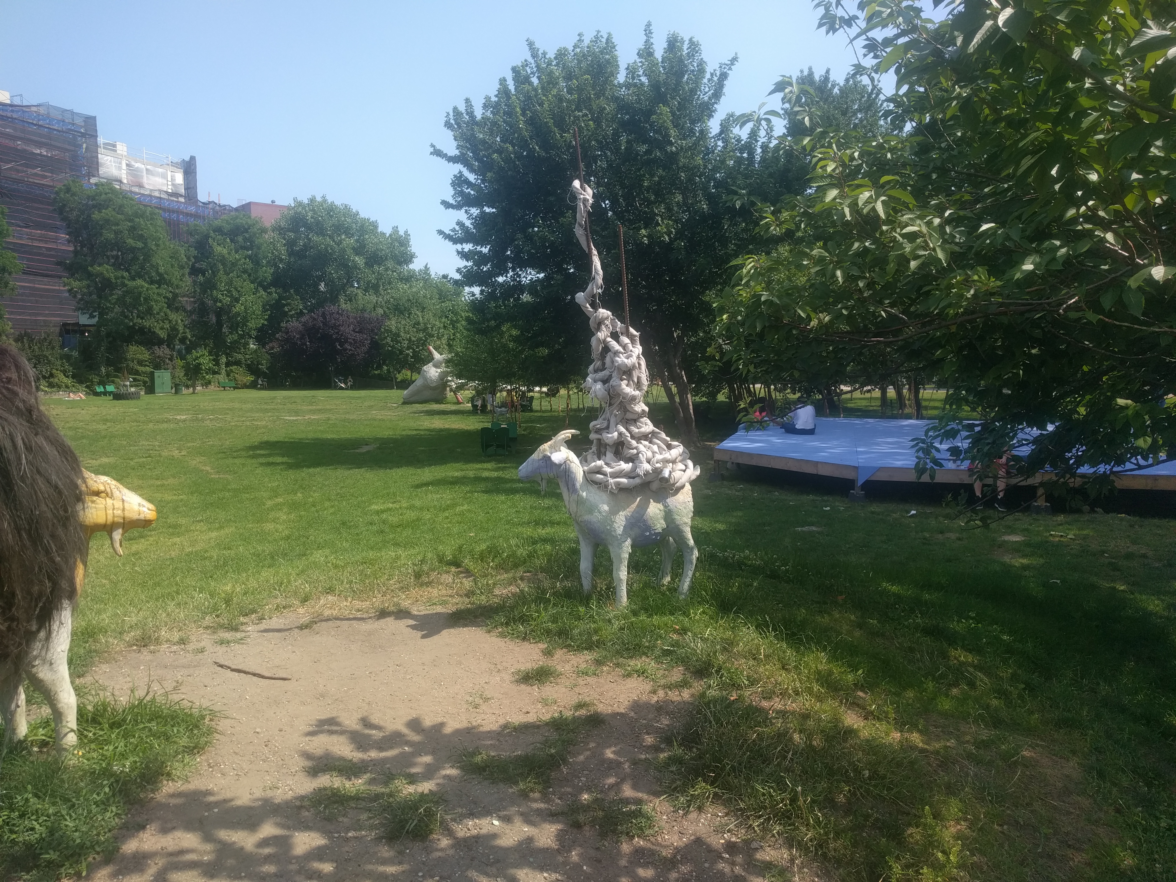 how many goats has it been?