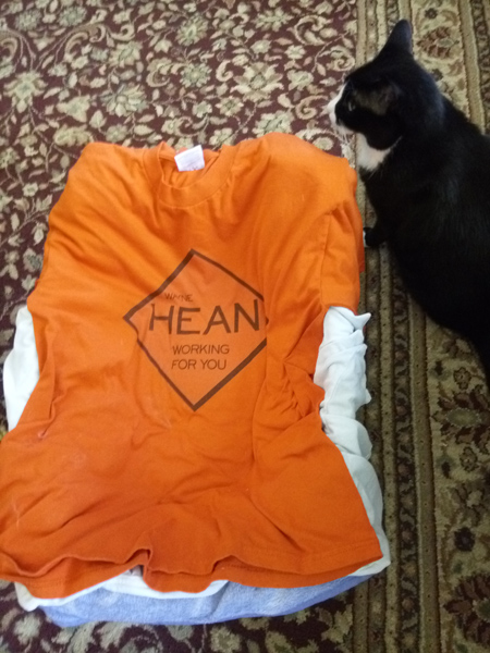 Hean Cat