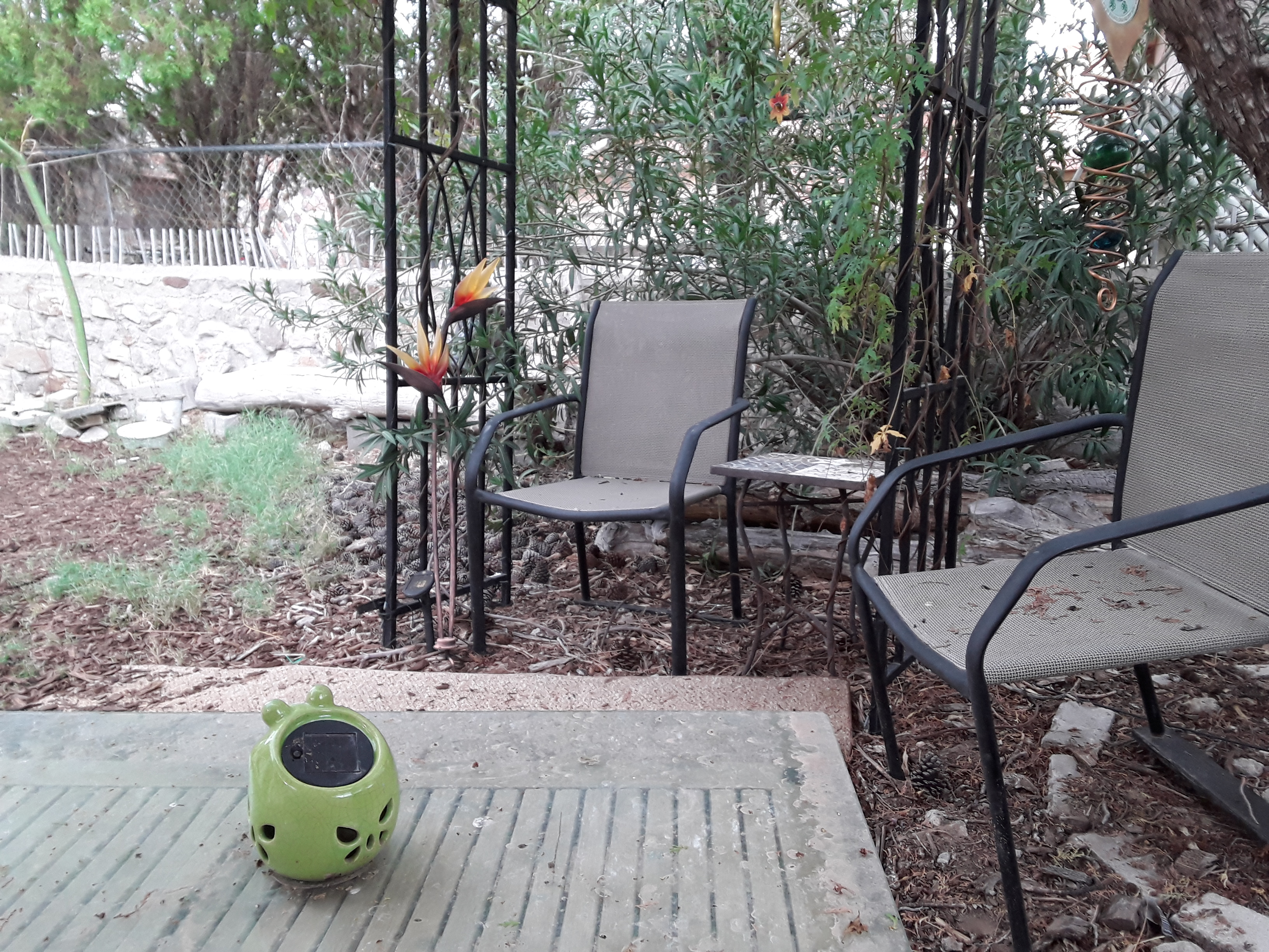 enter image description here