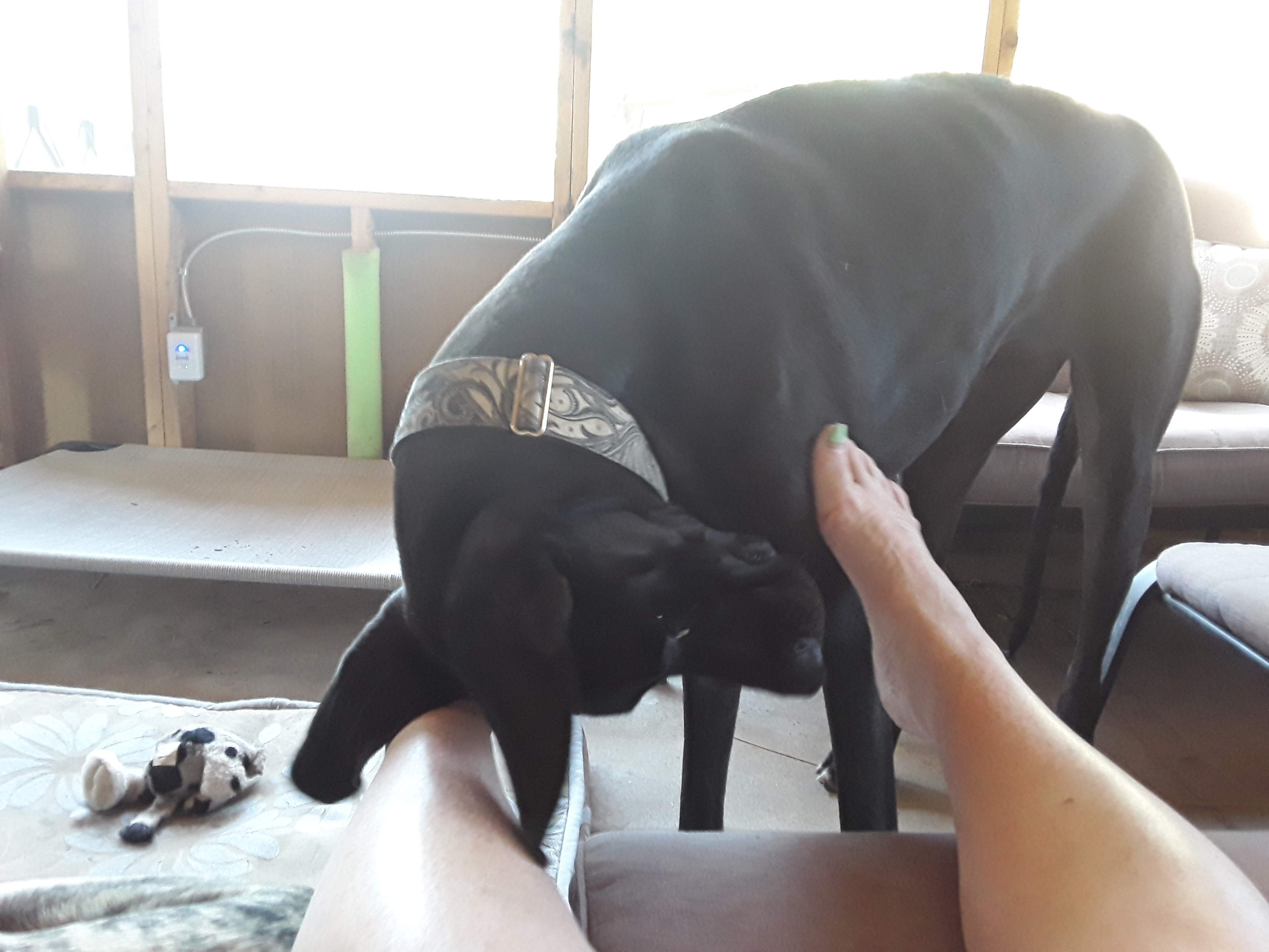 enter image description here