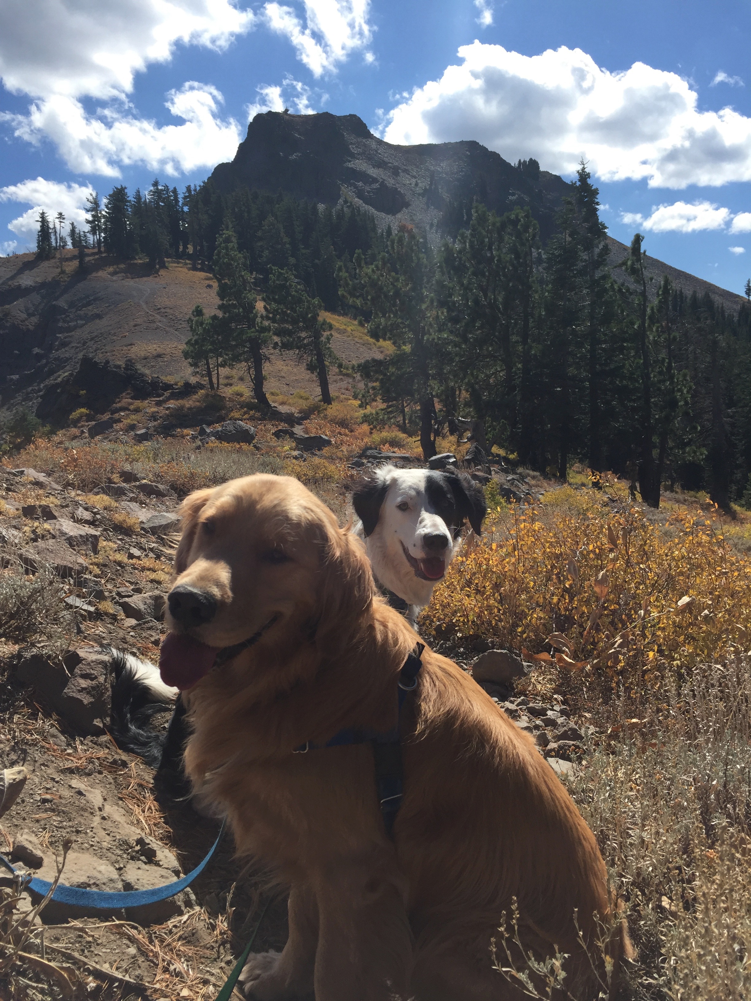 Tahoe National Forest