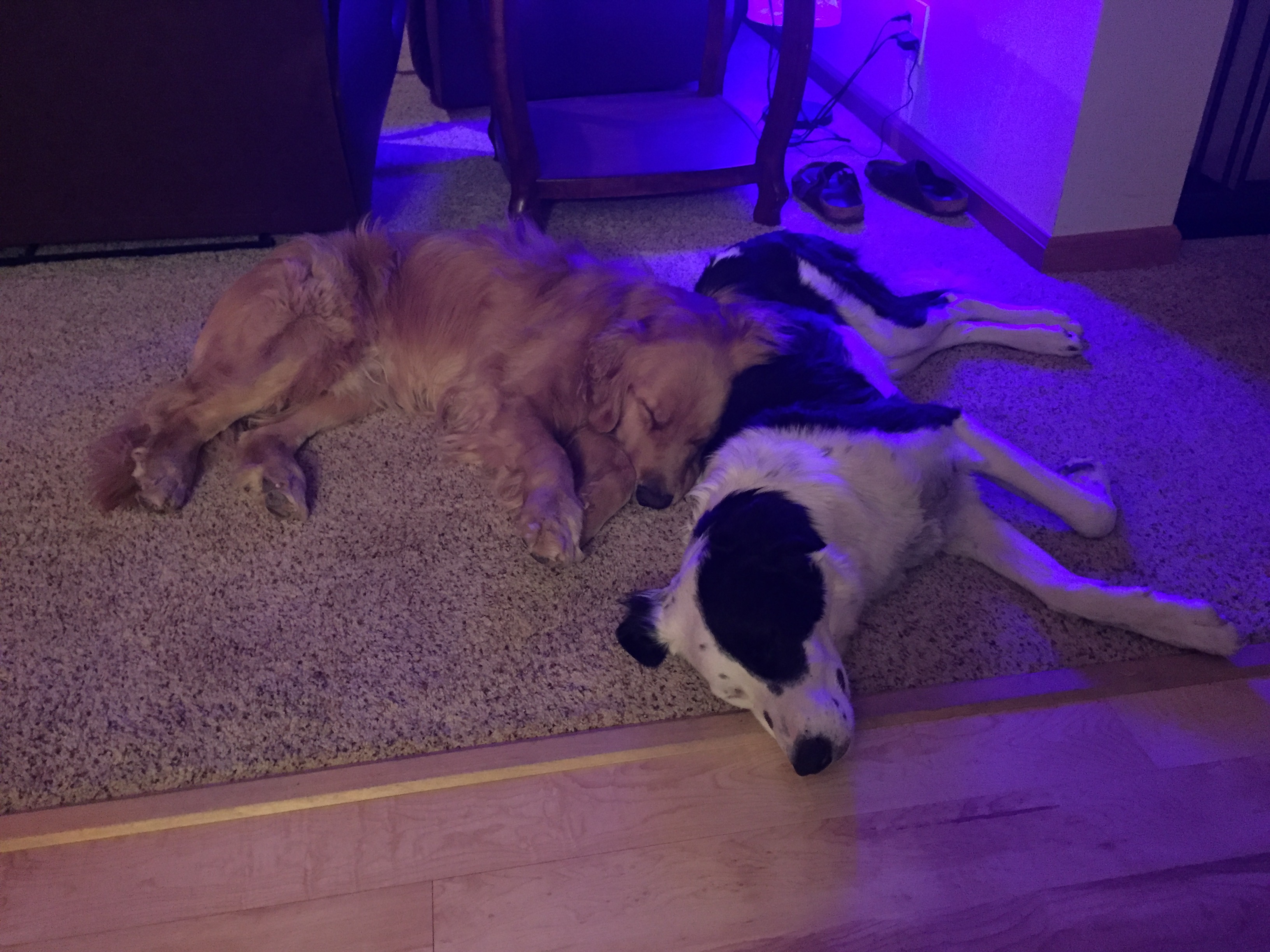 After Tahoe National Forest