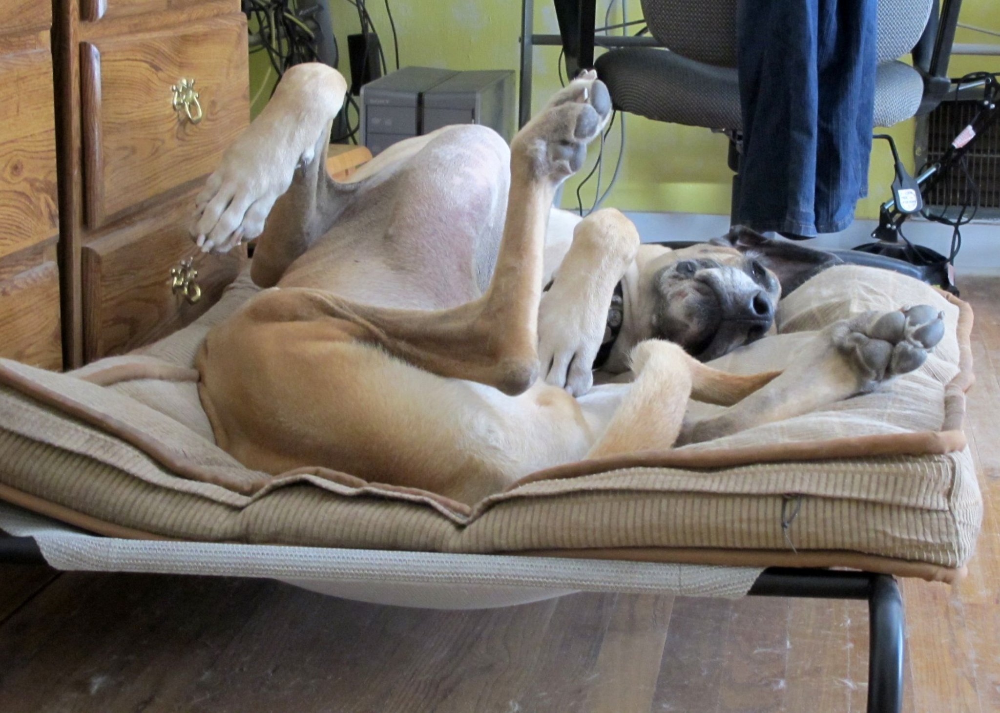 enter image description here