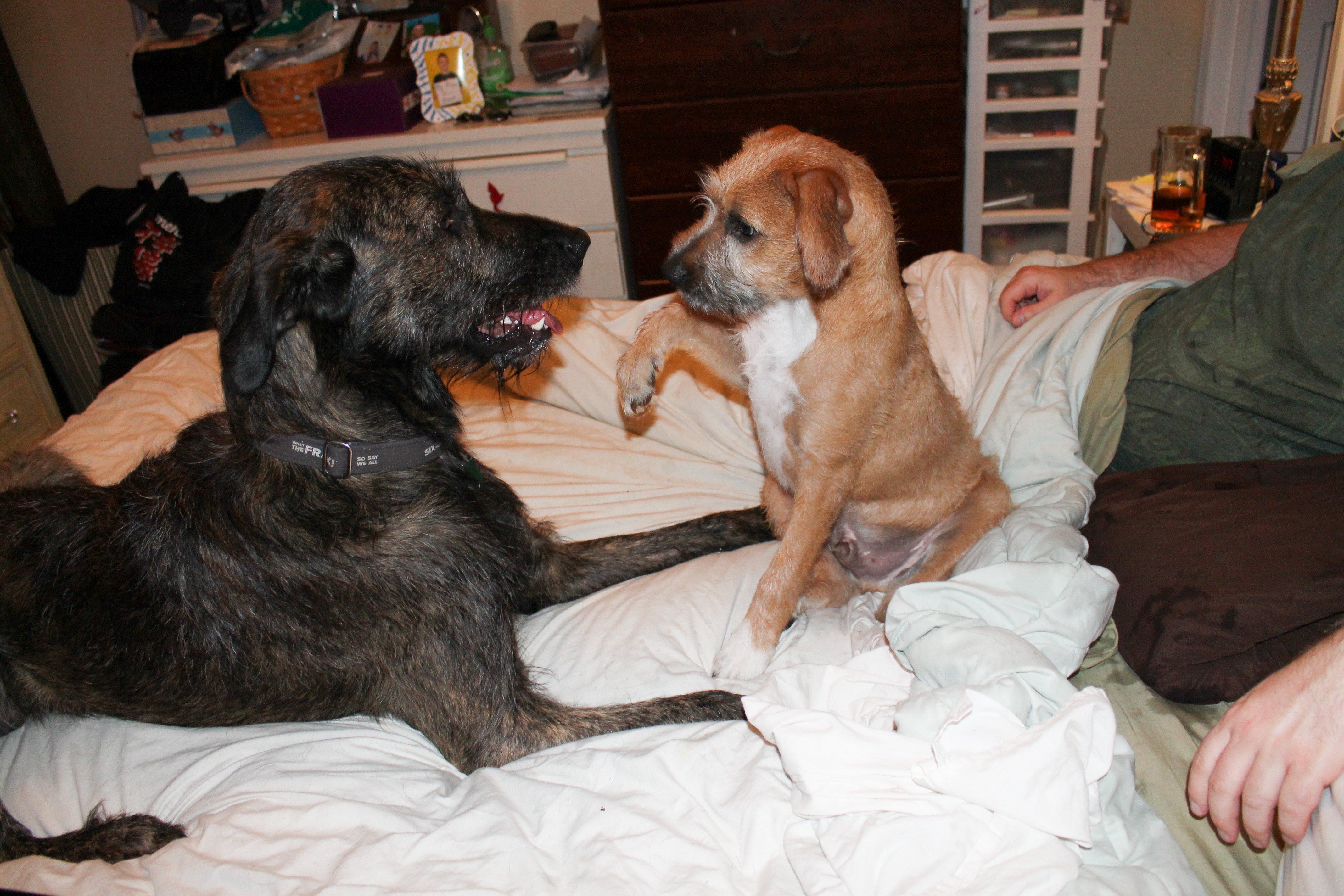 Making friends with Torben