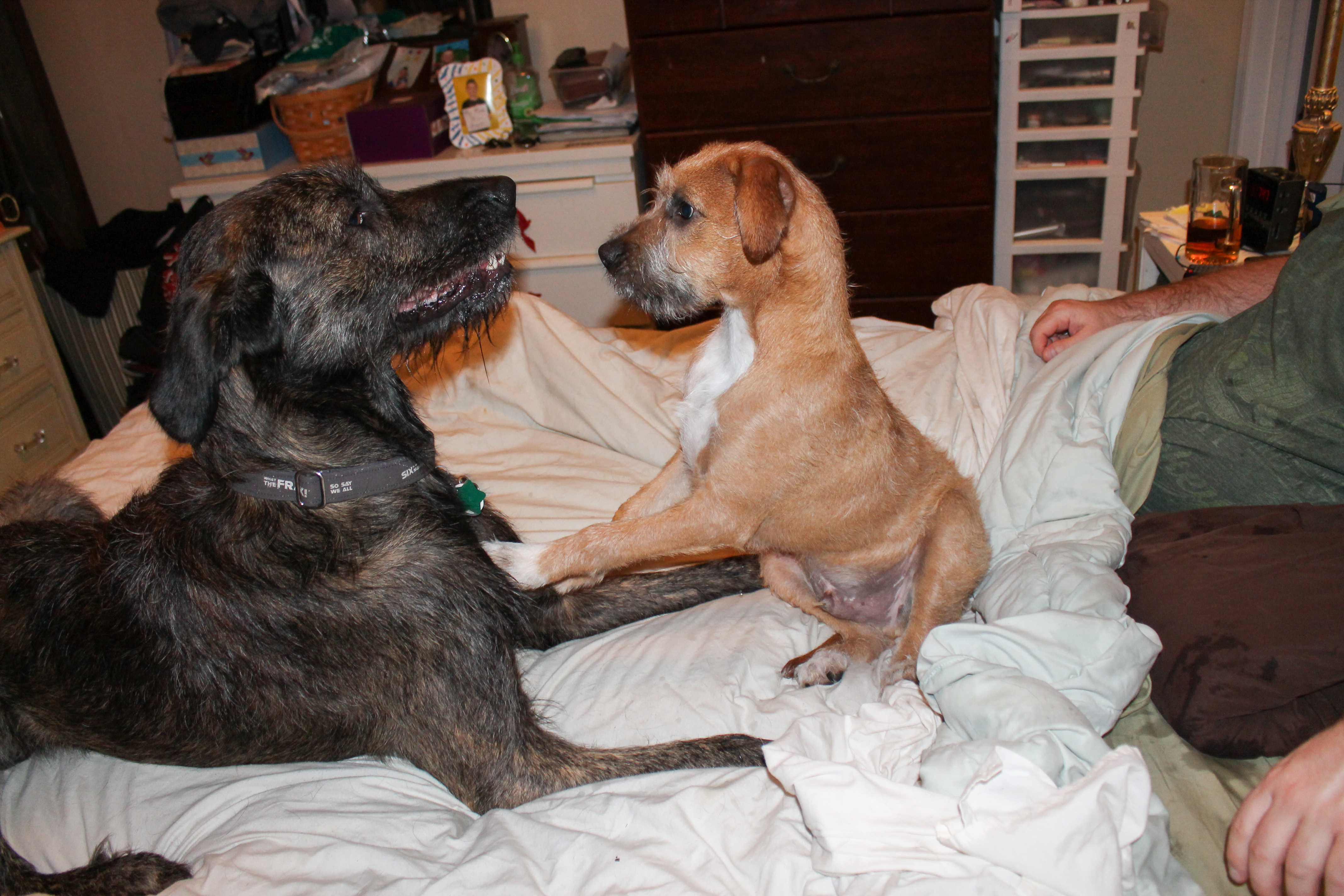 Torben is not so sure.