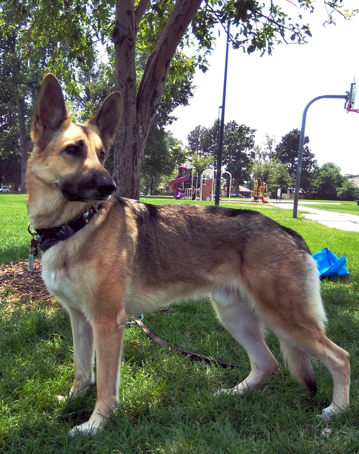 Galen posing in a stack
