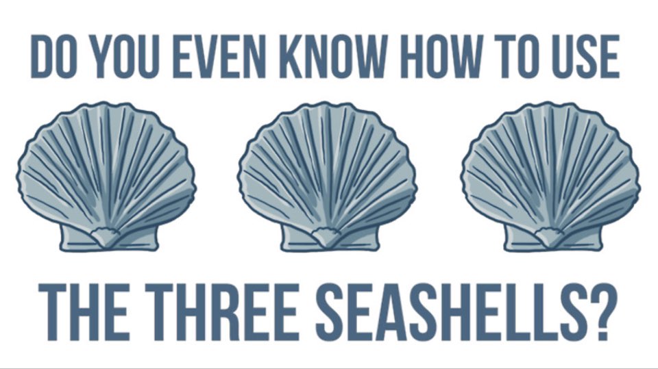 Bro, do you even seashell?