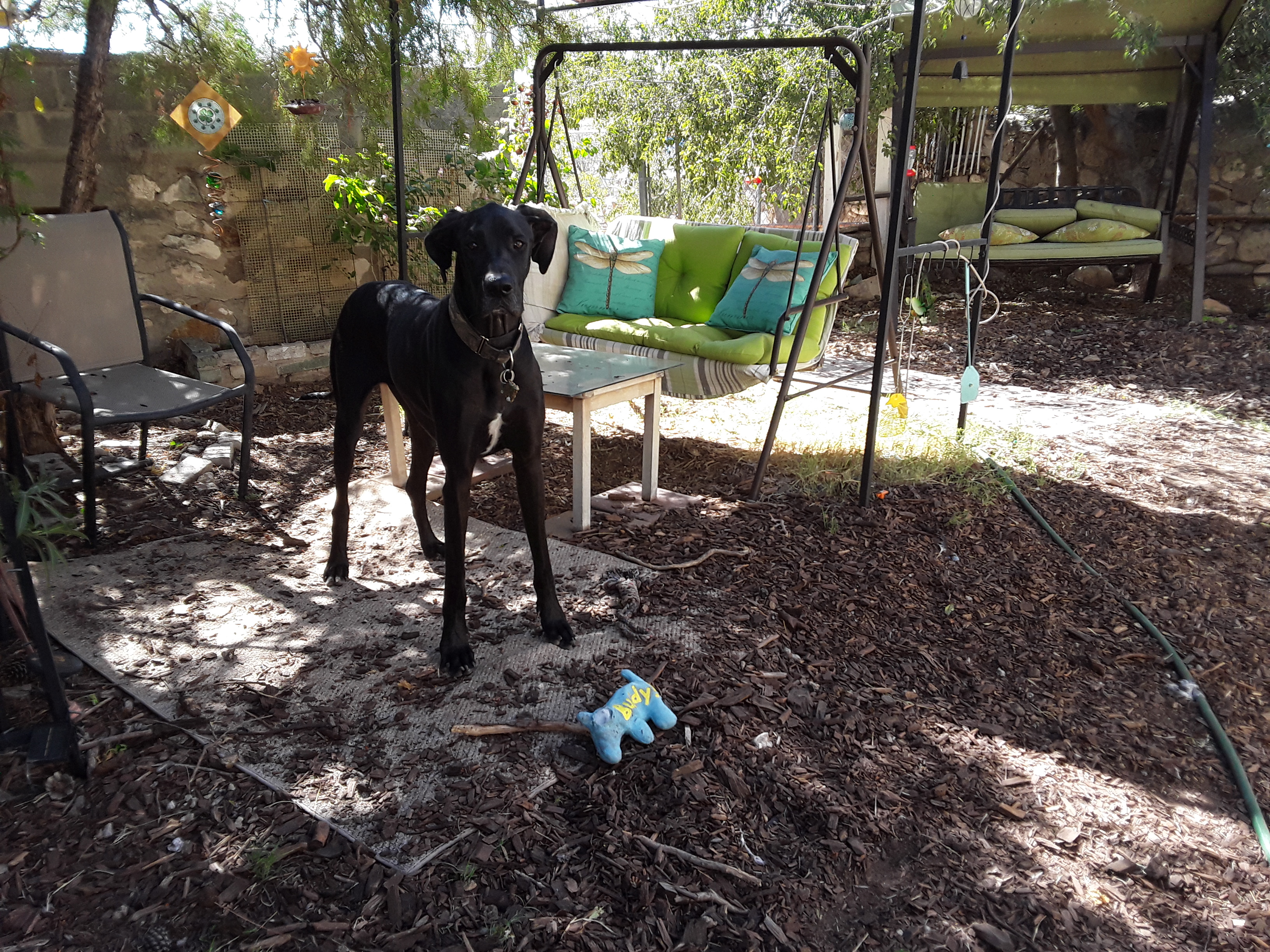 enter image description here