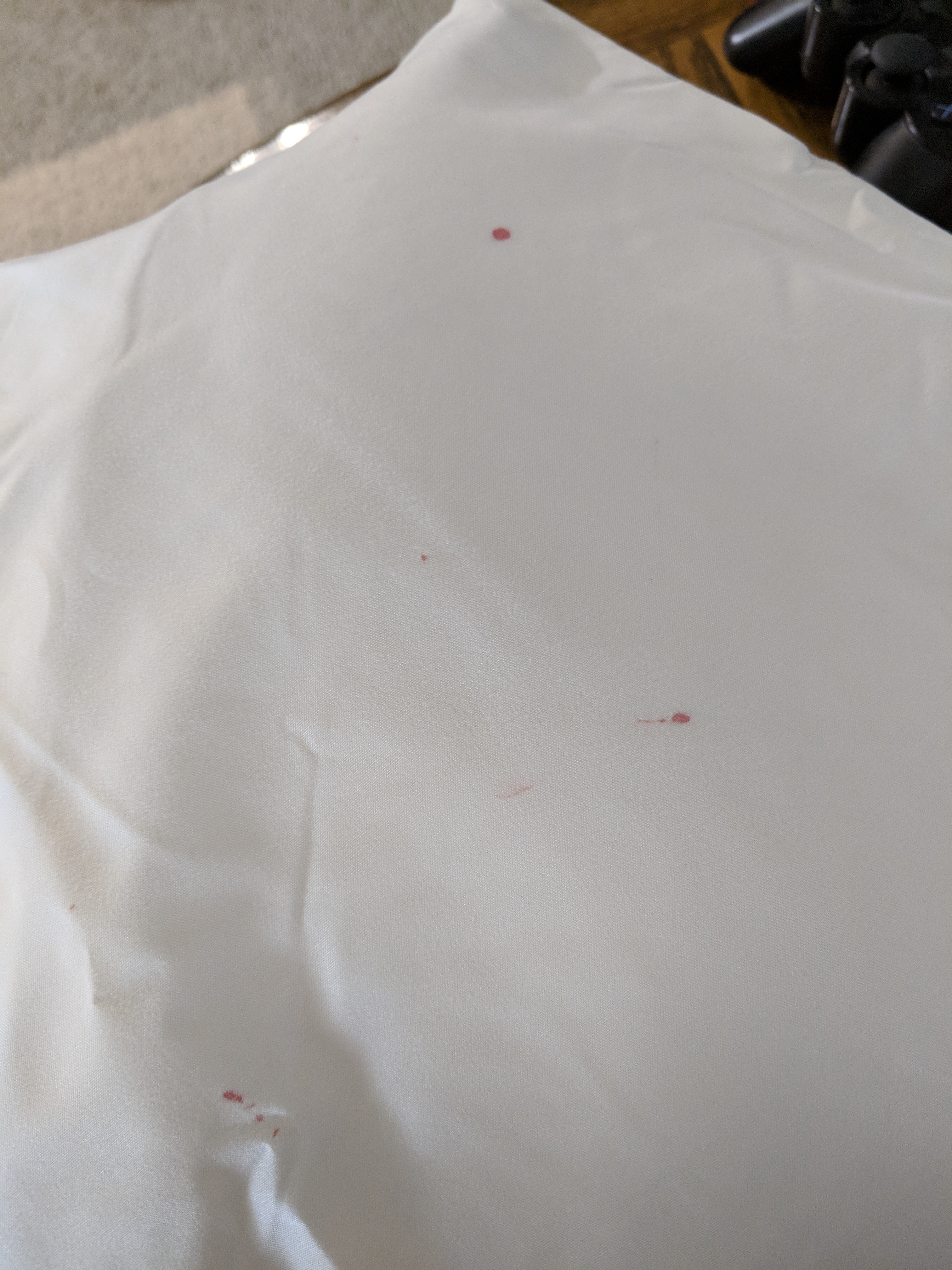 Sheet with Blood Stains