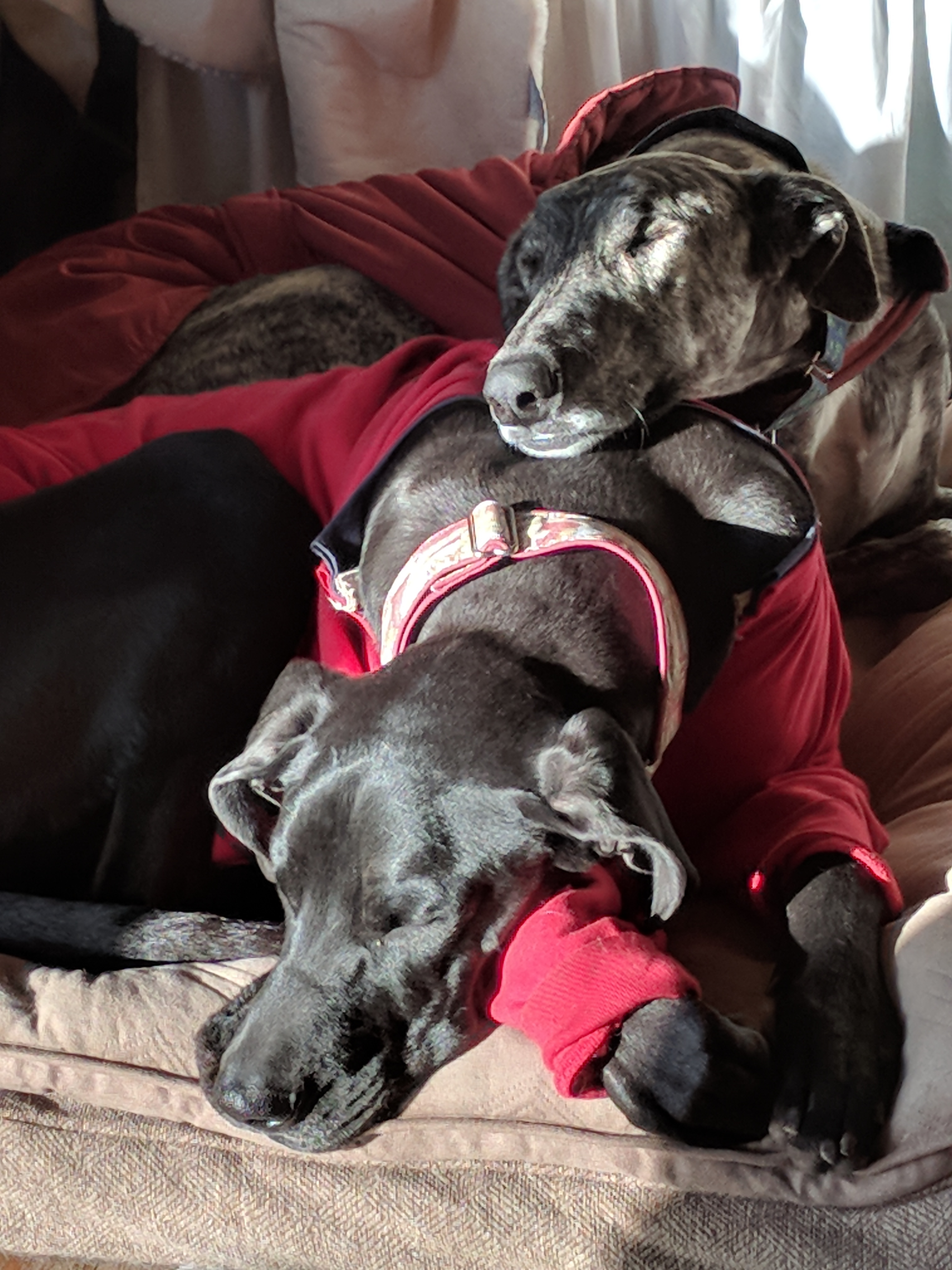 enter image description here