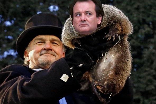 Groundhog Murray
