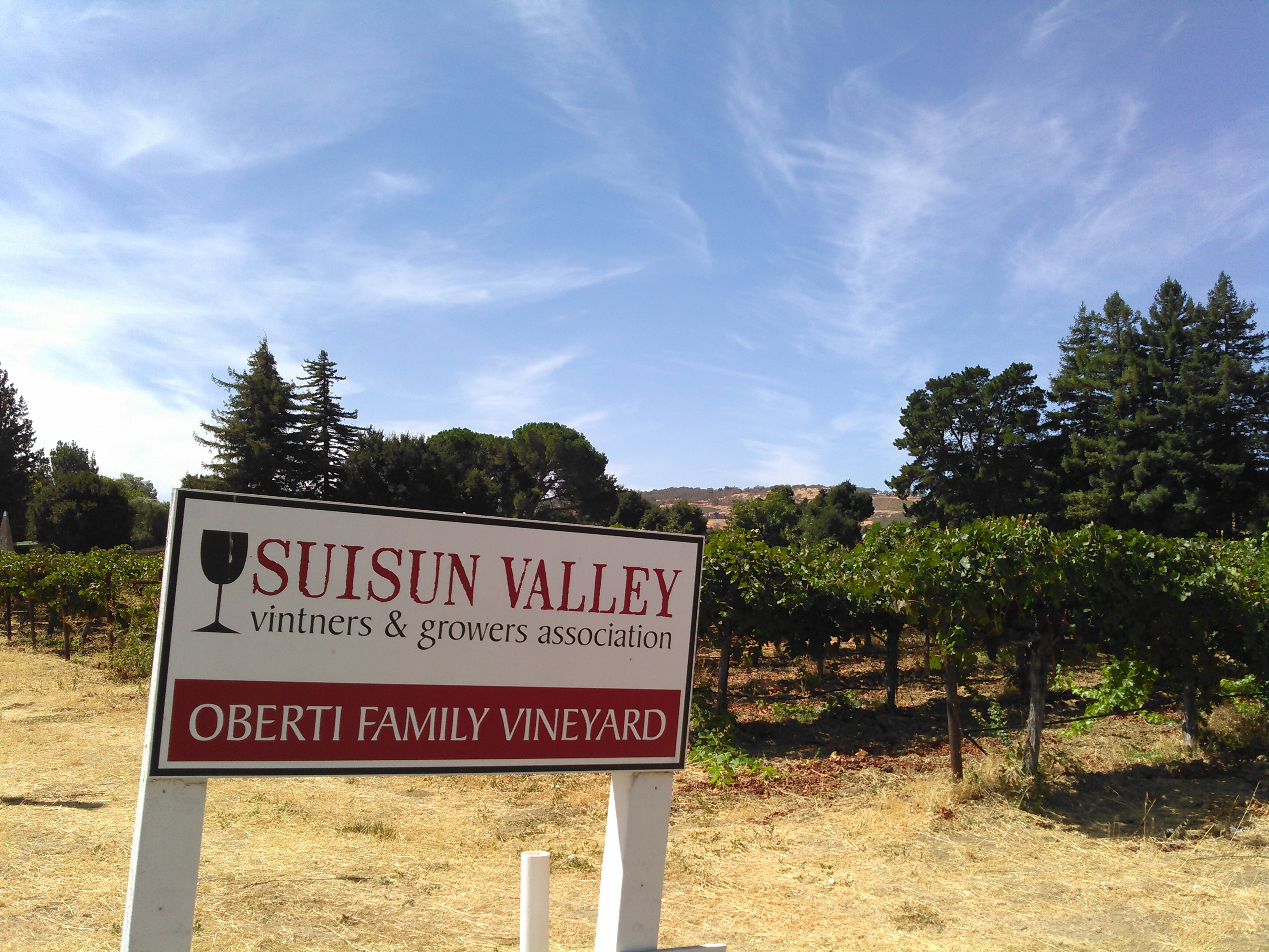 Oberti Vineyard