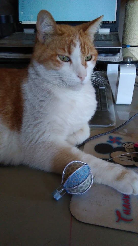 Spotty and an adorable paper hot air balloon