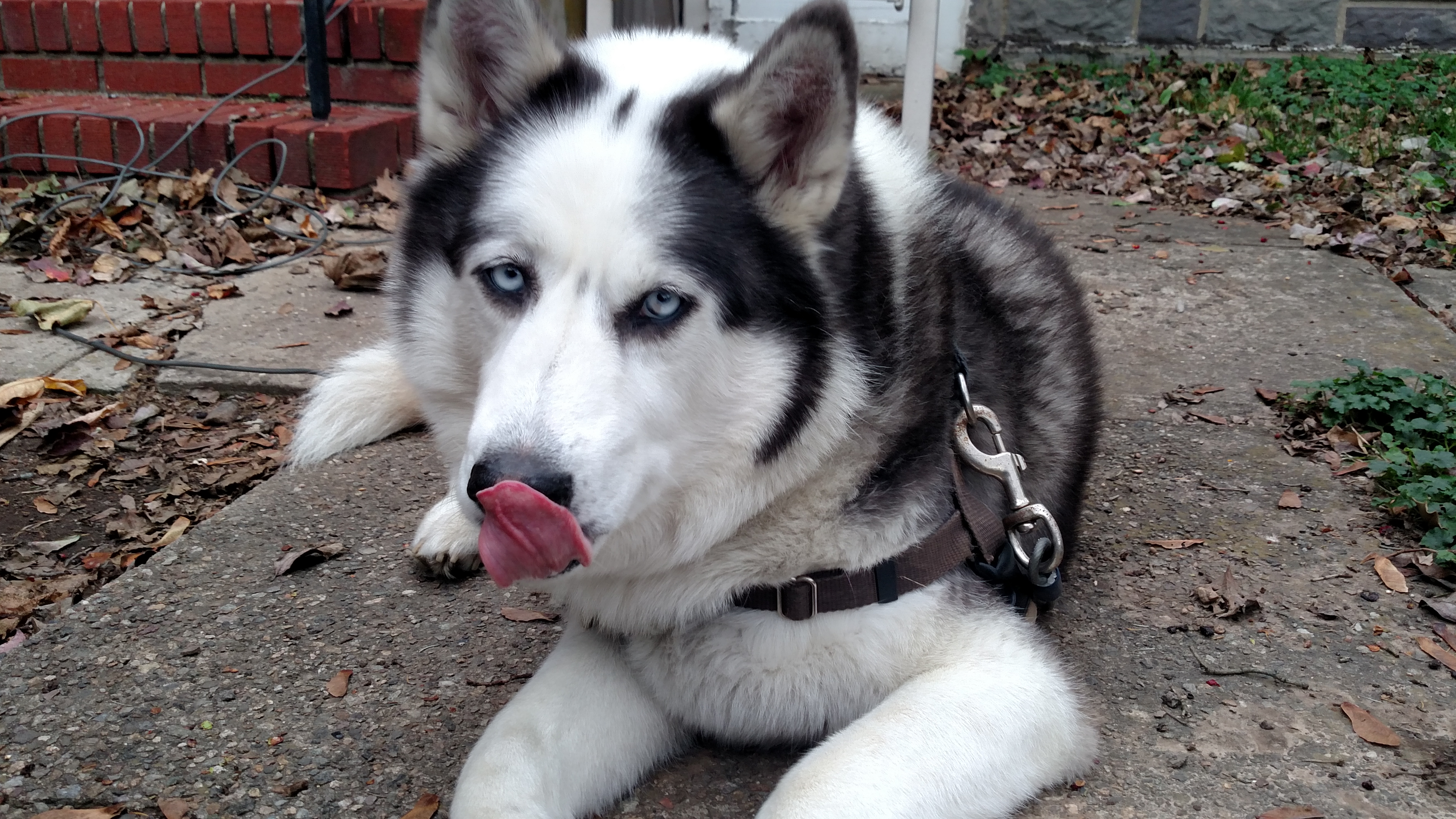 enter image description here