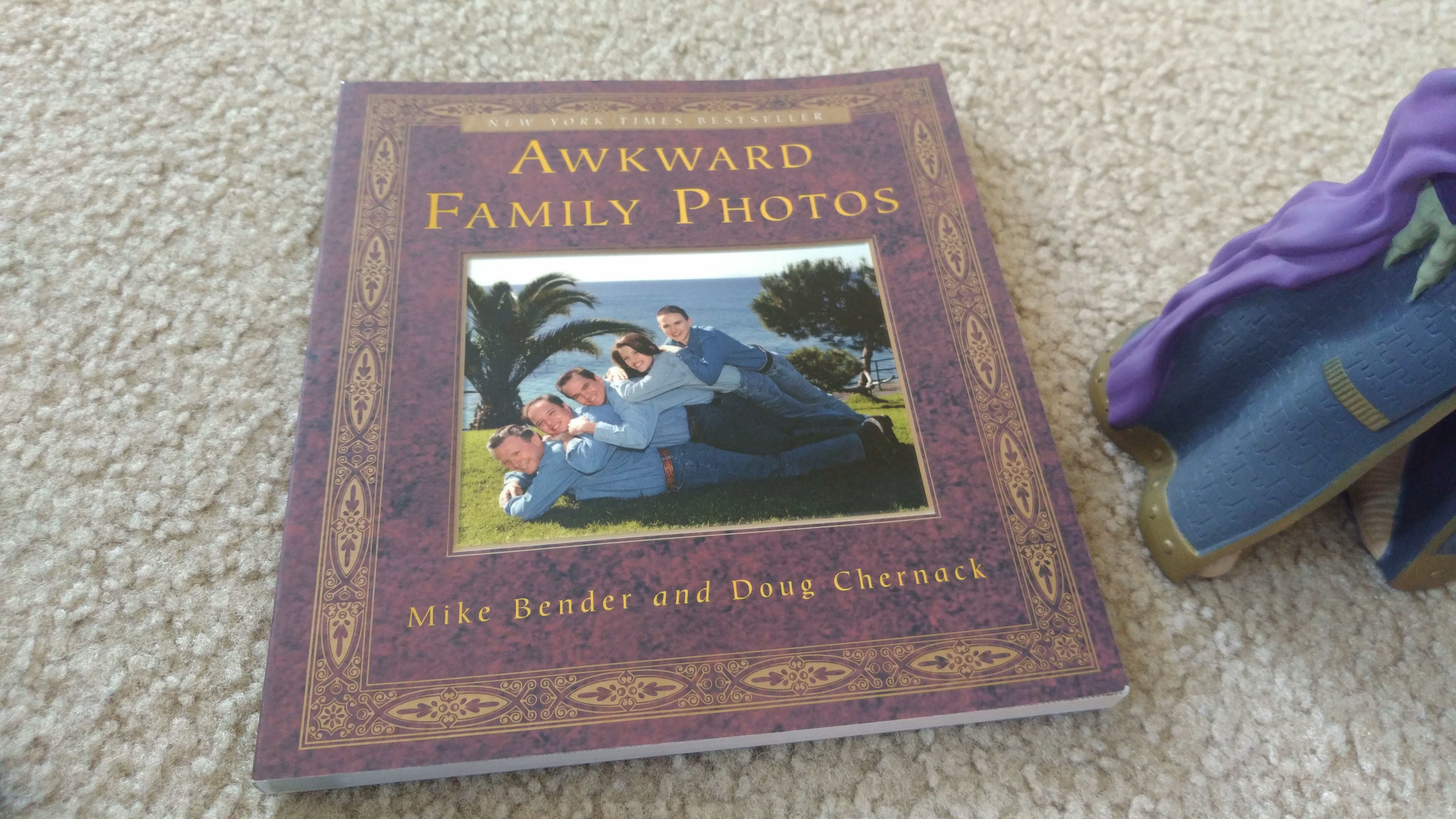 Awkward Family Photos book