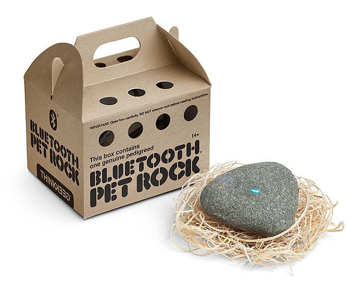 Bluetooth pet rock