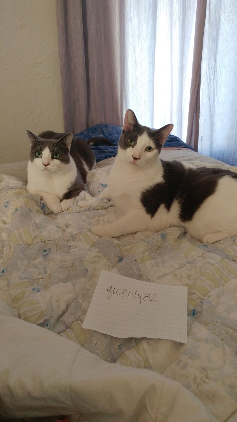 My first ever uploaded picture to Meh. Hope it works. 