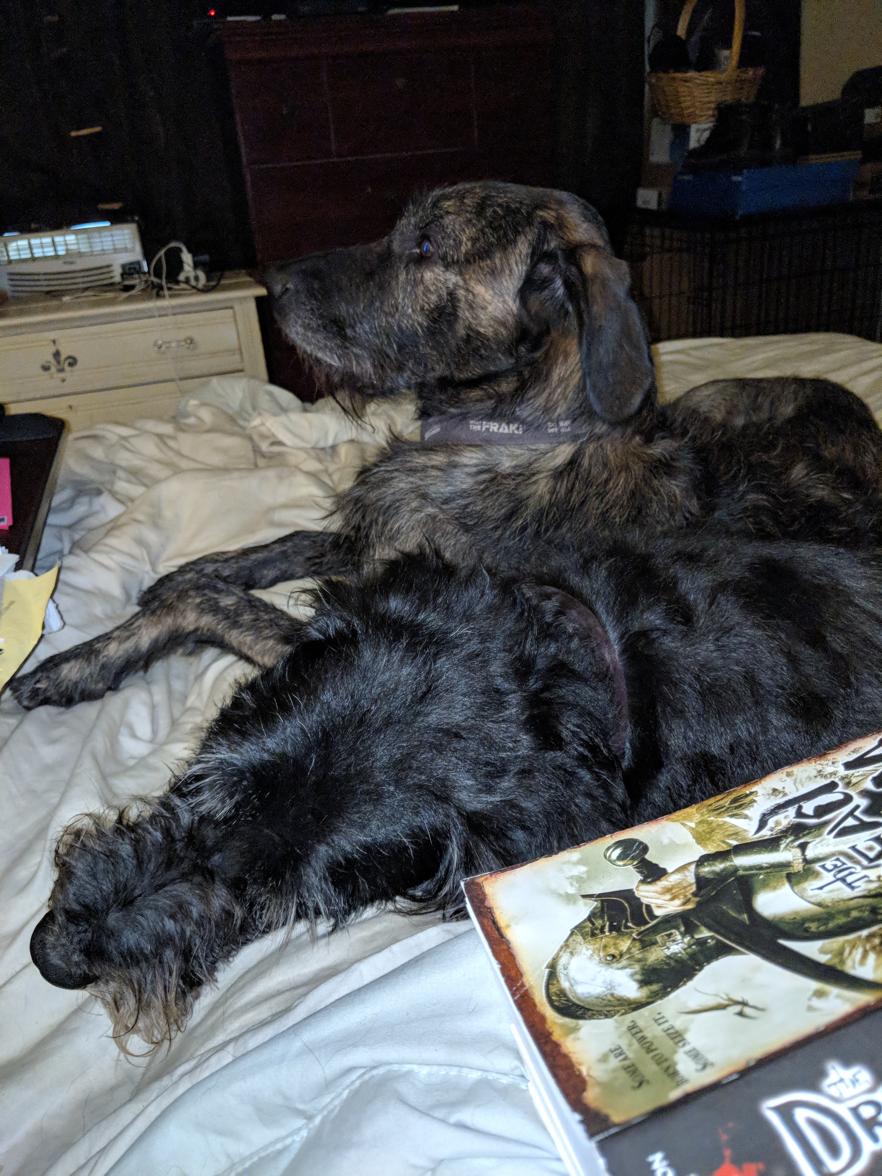 I was trying to read