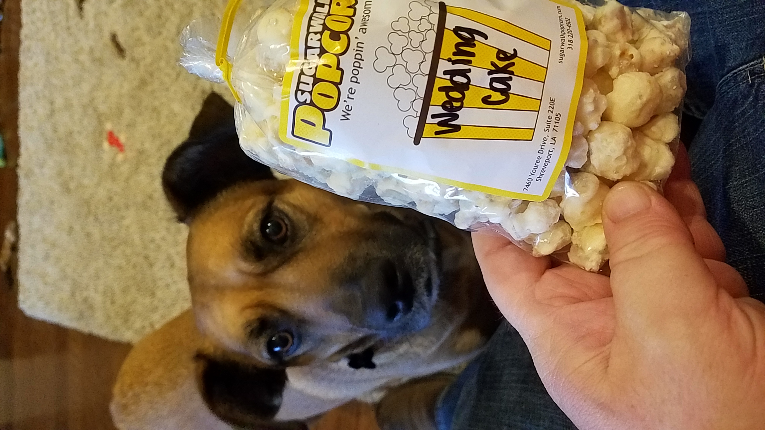 Roux wants popcorn