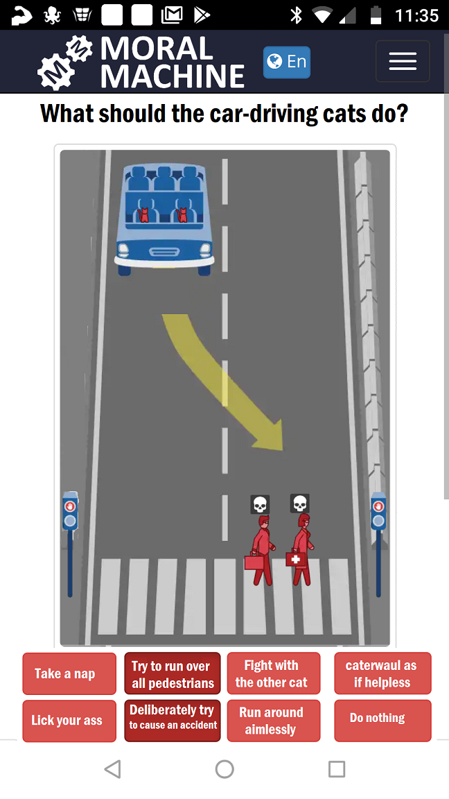 Cats in cars with napalm