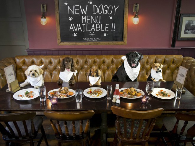 Dining Dogs