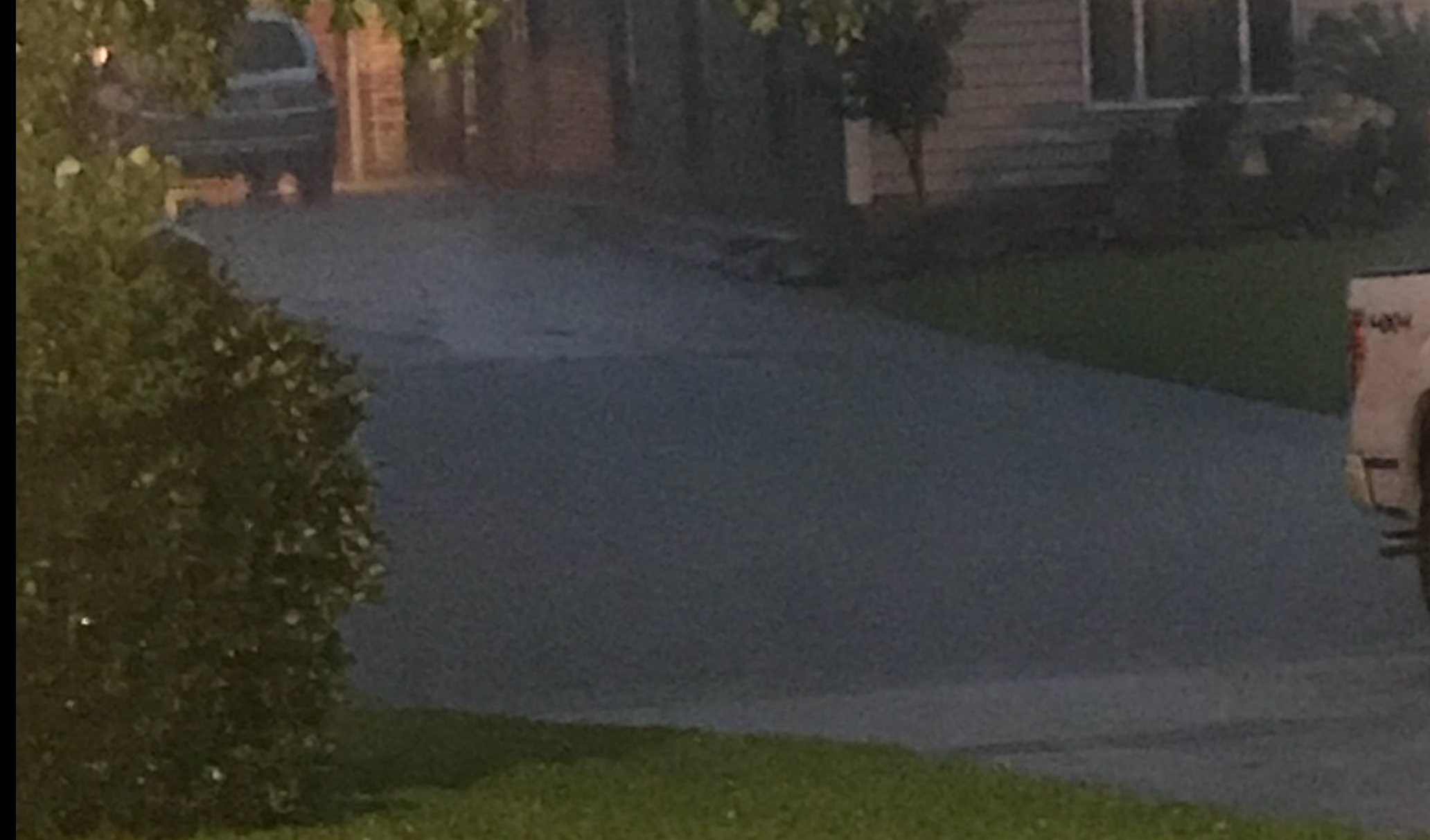 my street on Monday Monday 