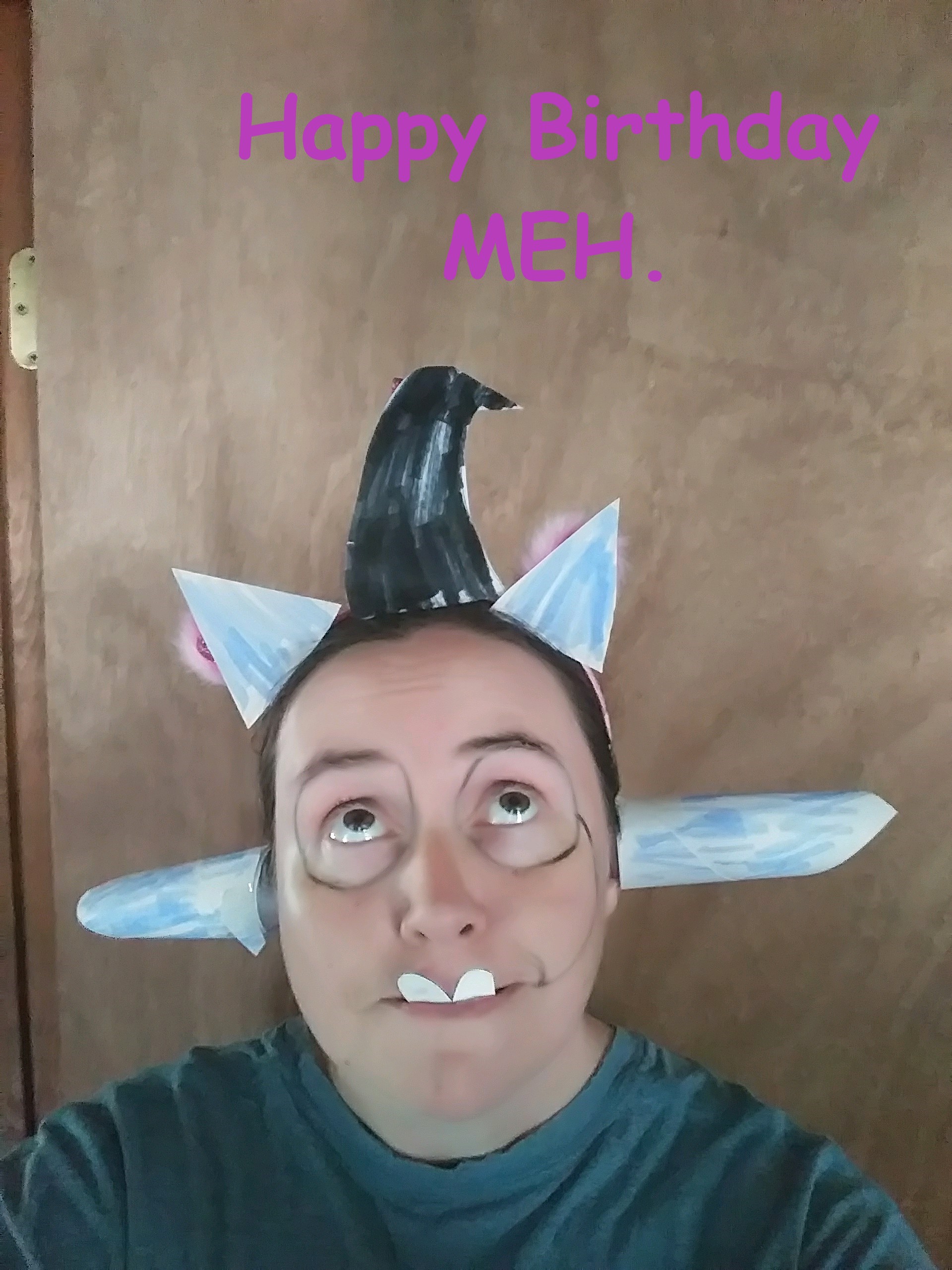 MehBirthdayPicofShame