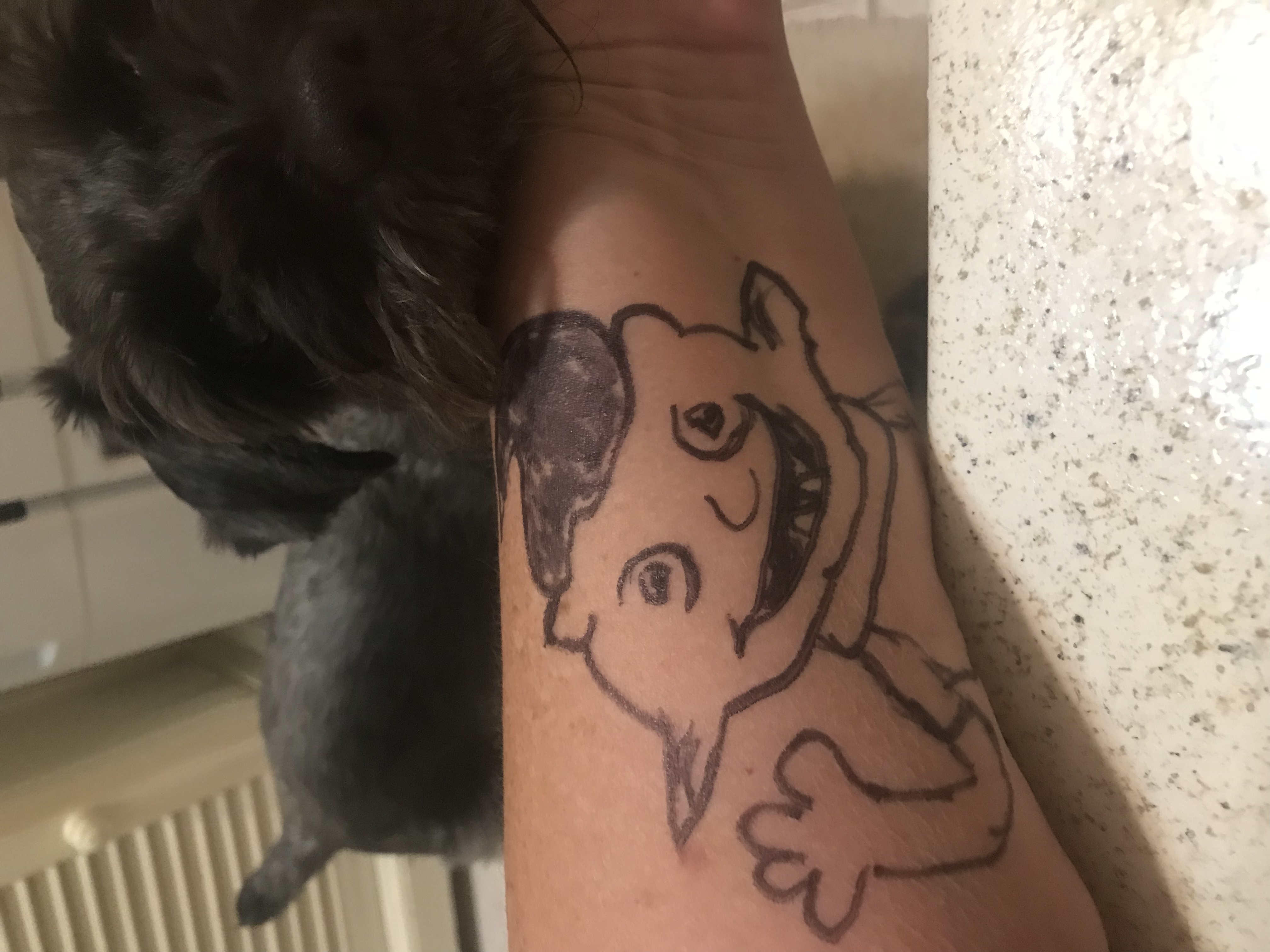 Irk getting some love from miniature schnauzer Nike 