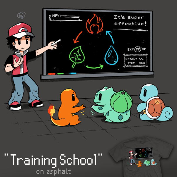 Training School