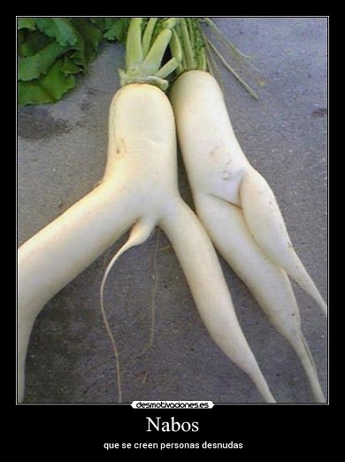 nice-deluded-radish