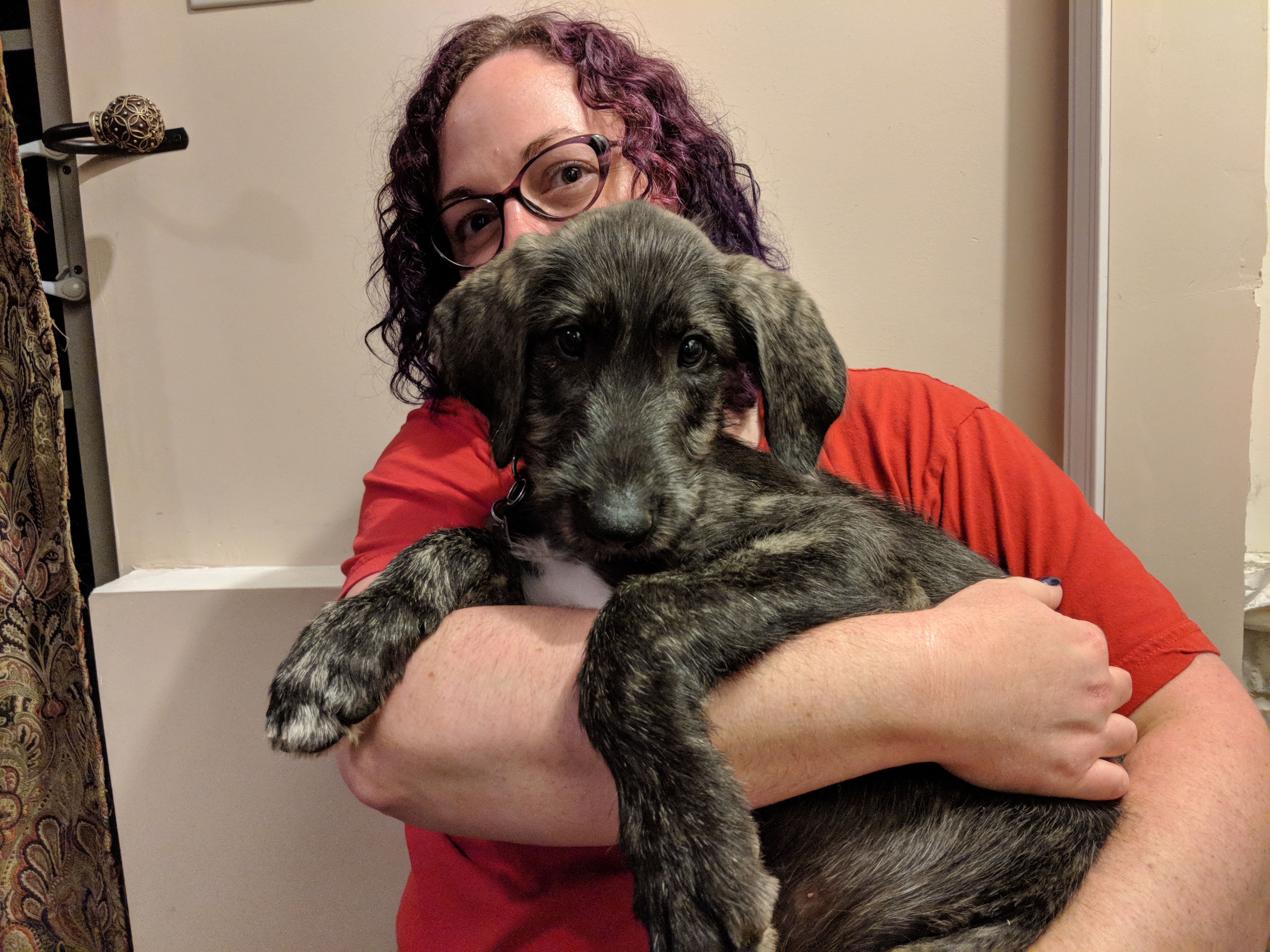 enter image description here