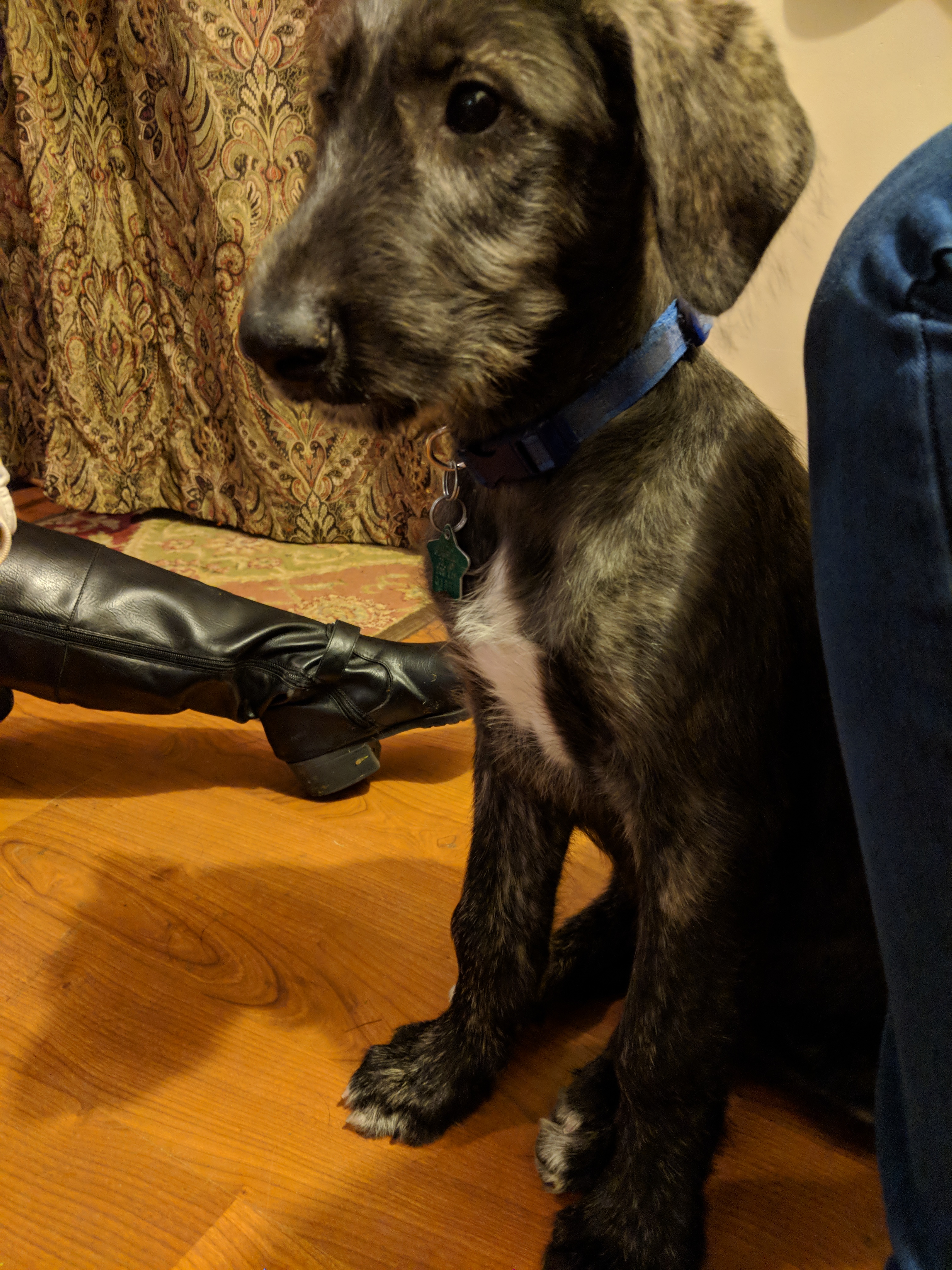 enter image description here