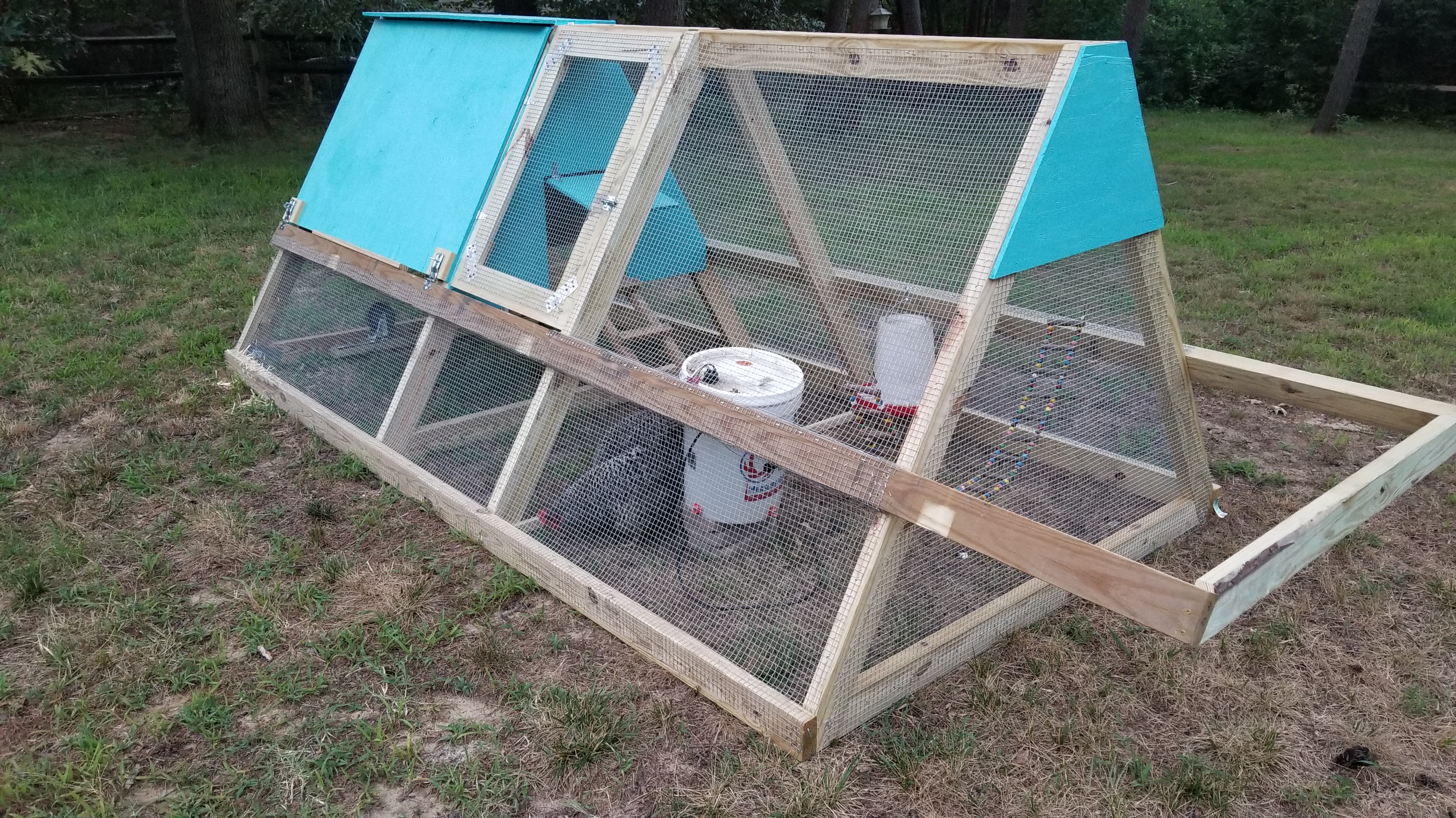 new chicken enclosure