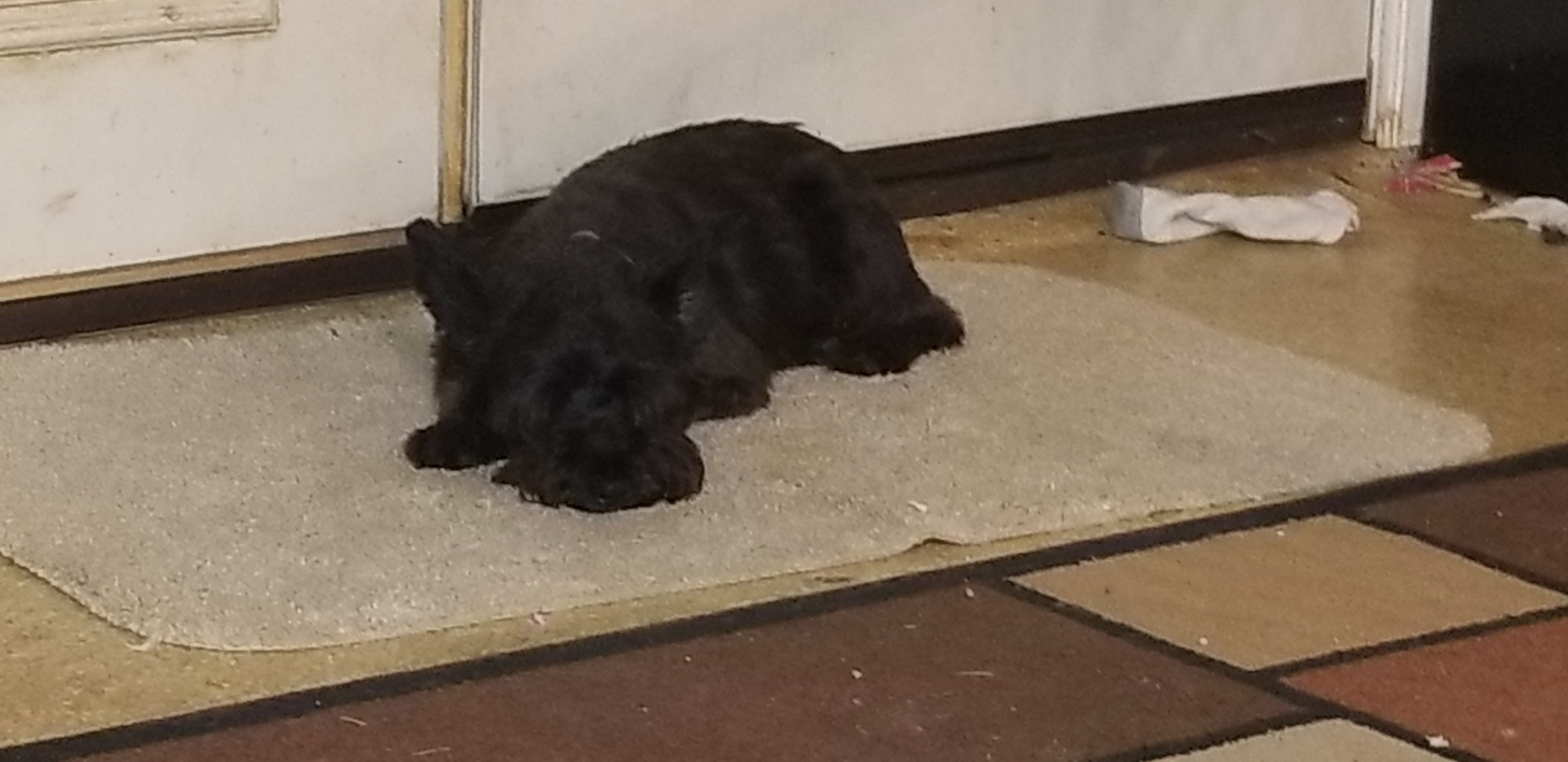 Here's one of ours...