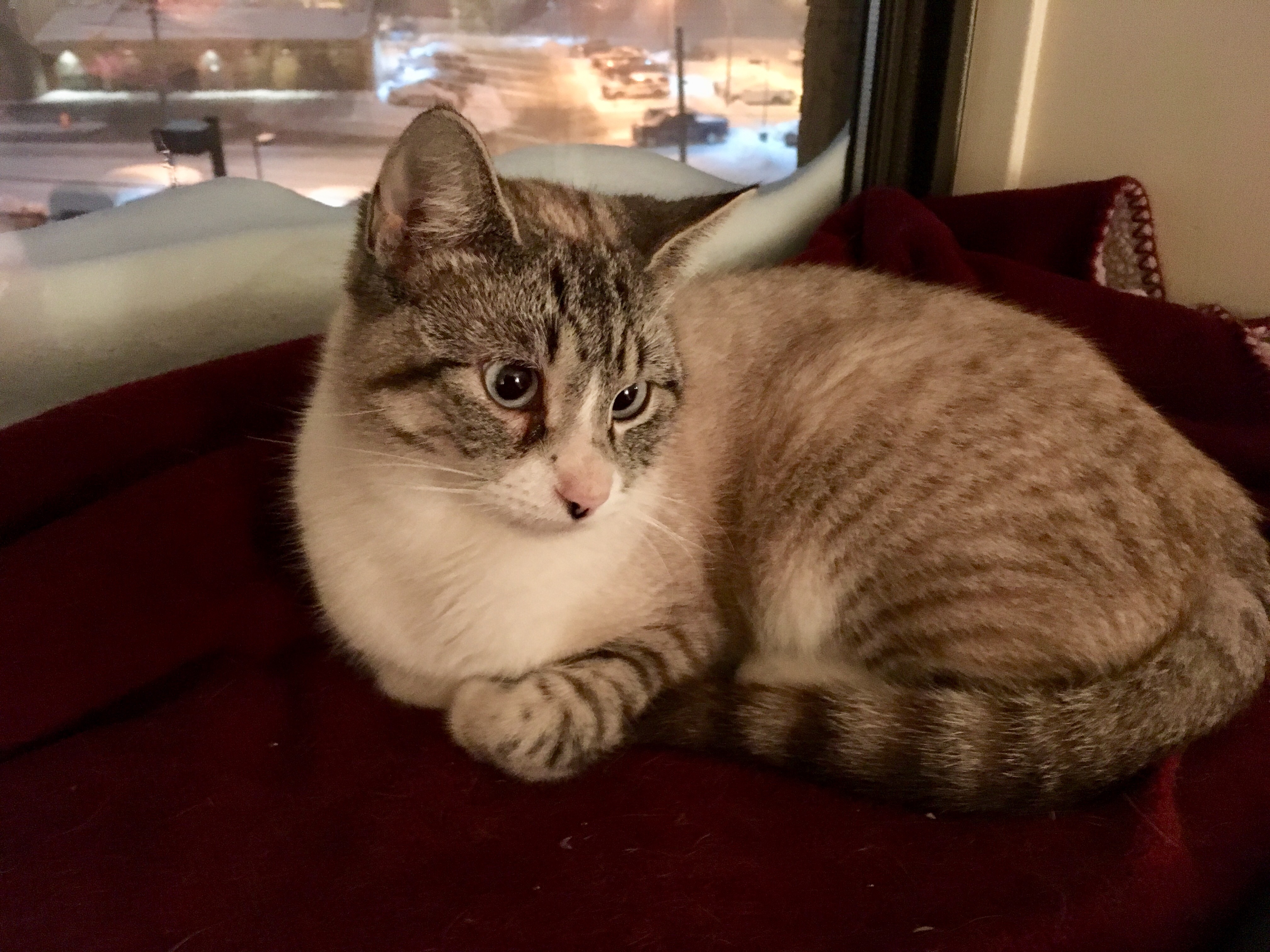 enter image description here