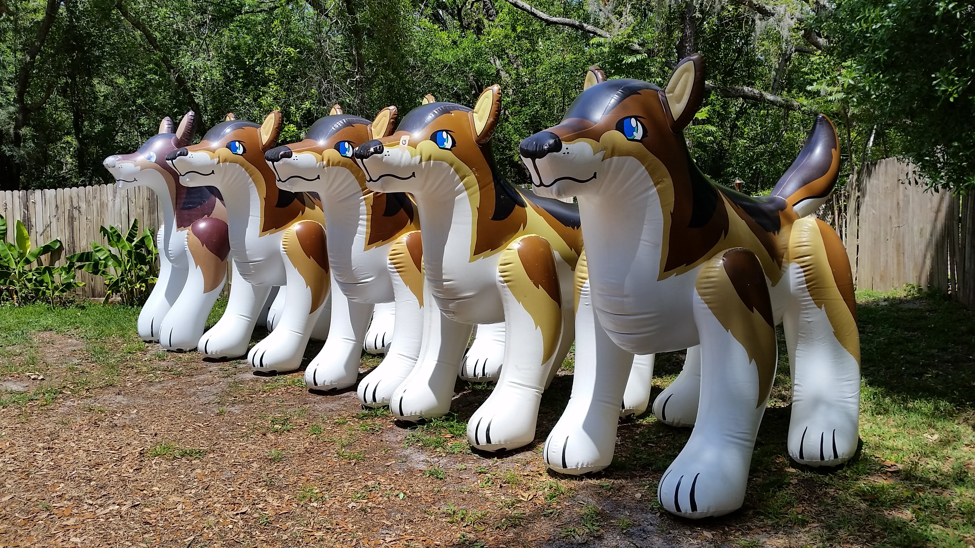 (They aren't all mine.)