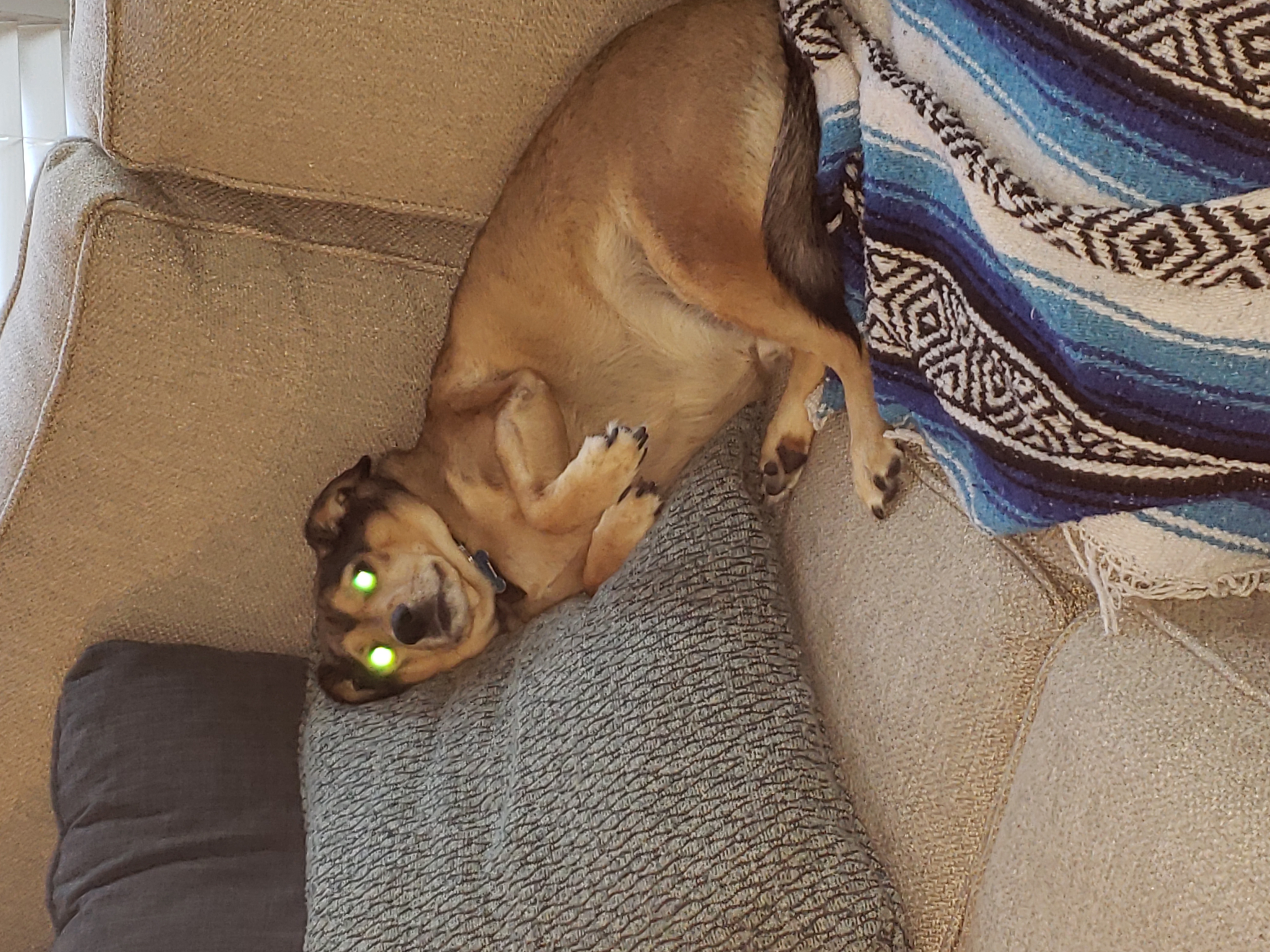 Why yes I AM comfortable!!