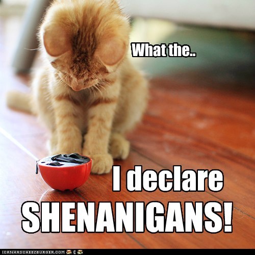 shenanigans lolcat