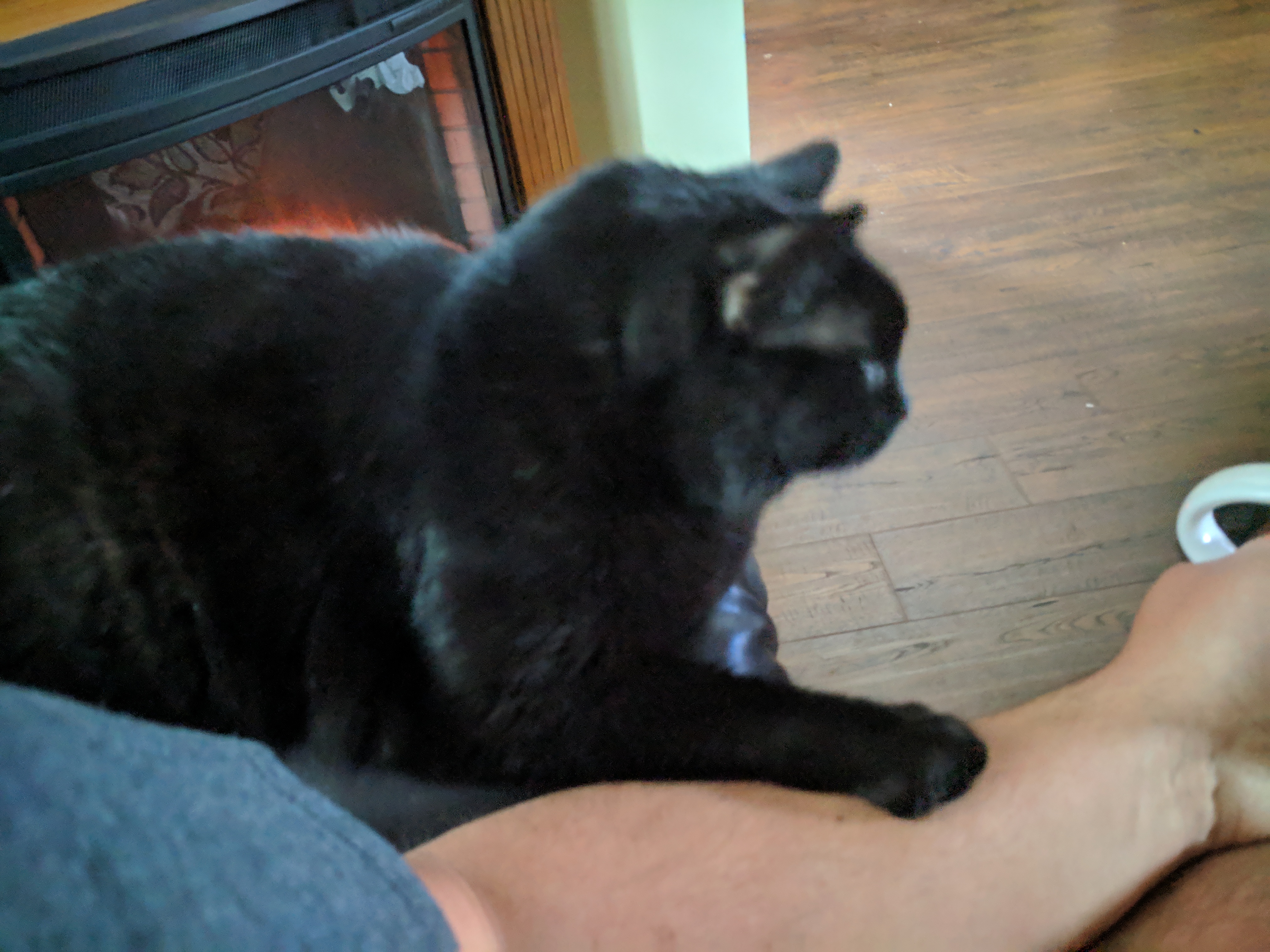 enter image description here