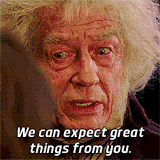 We expect great things from you