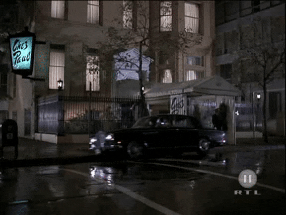 blues brother in training (wheels)