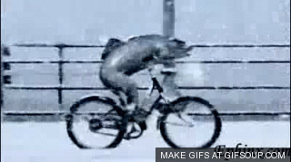 Fish on a Bike