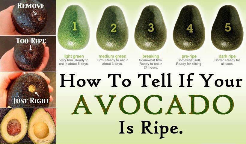 Ripe Avocado