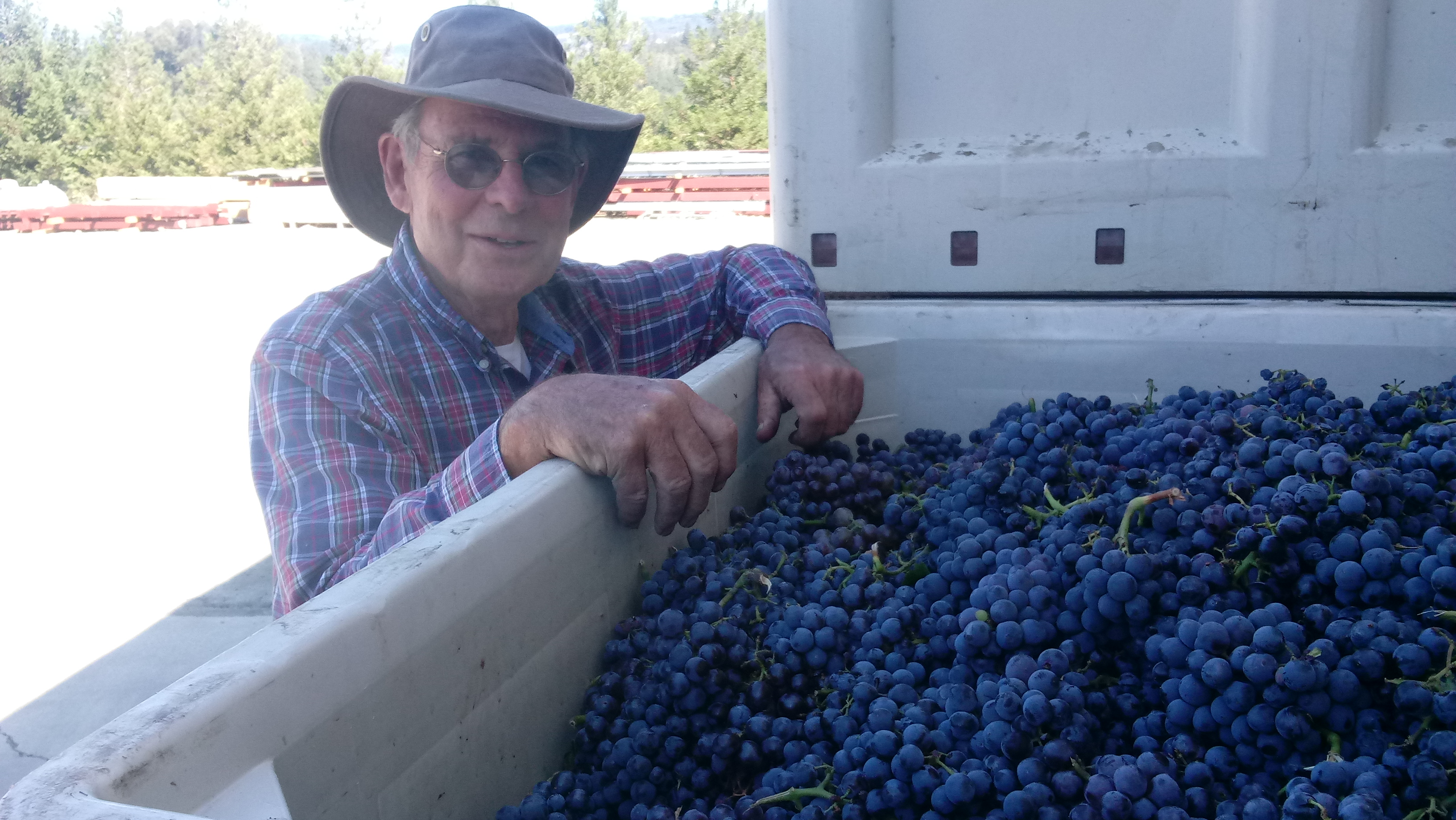 Gary Mangels with his grapes
