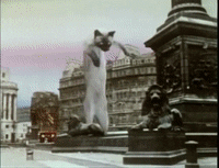 The miracle of atomic mutation