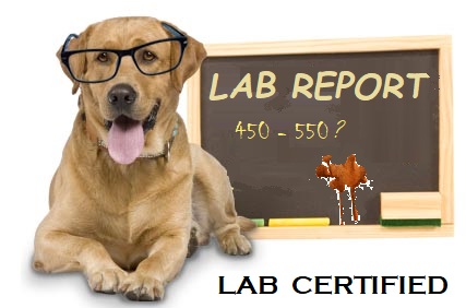 Lab report