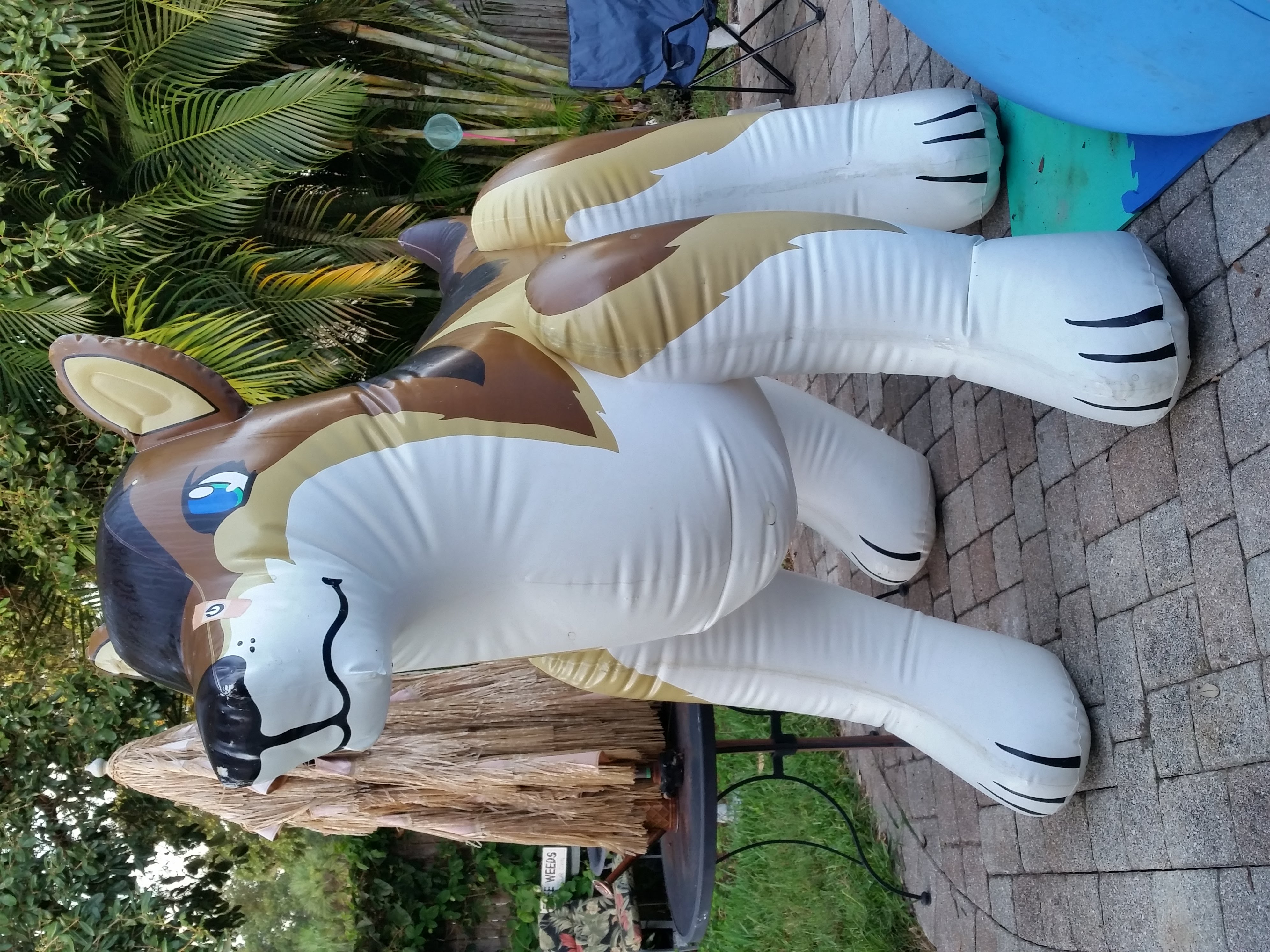 He's got lots of love to give!